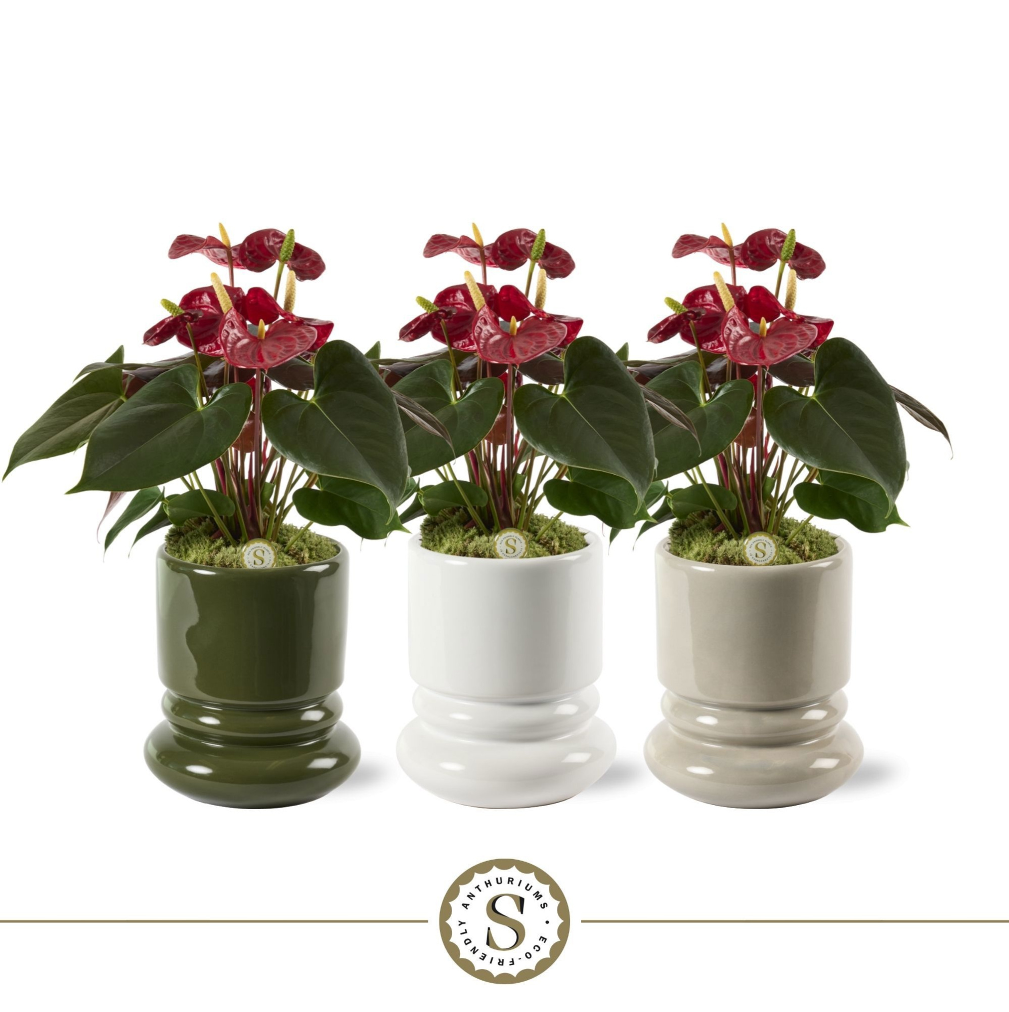 Geneve Keramiek Coral, D 12