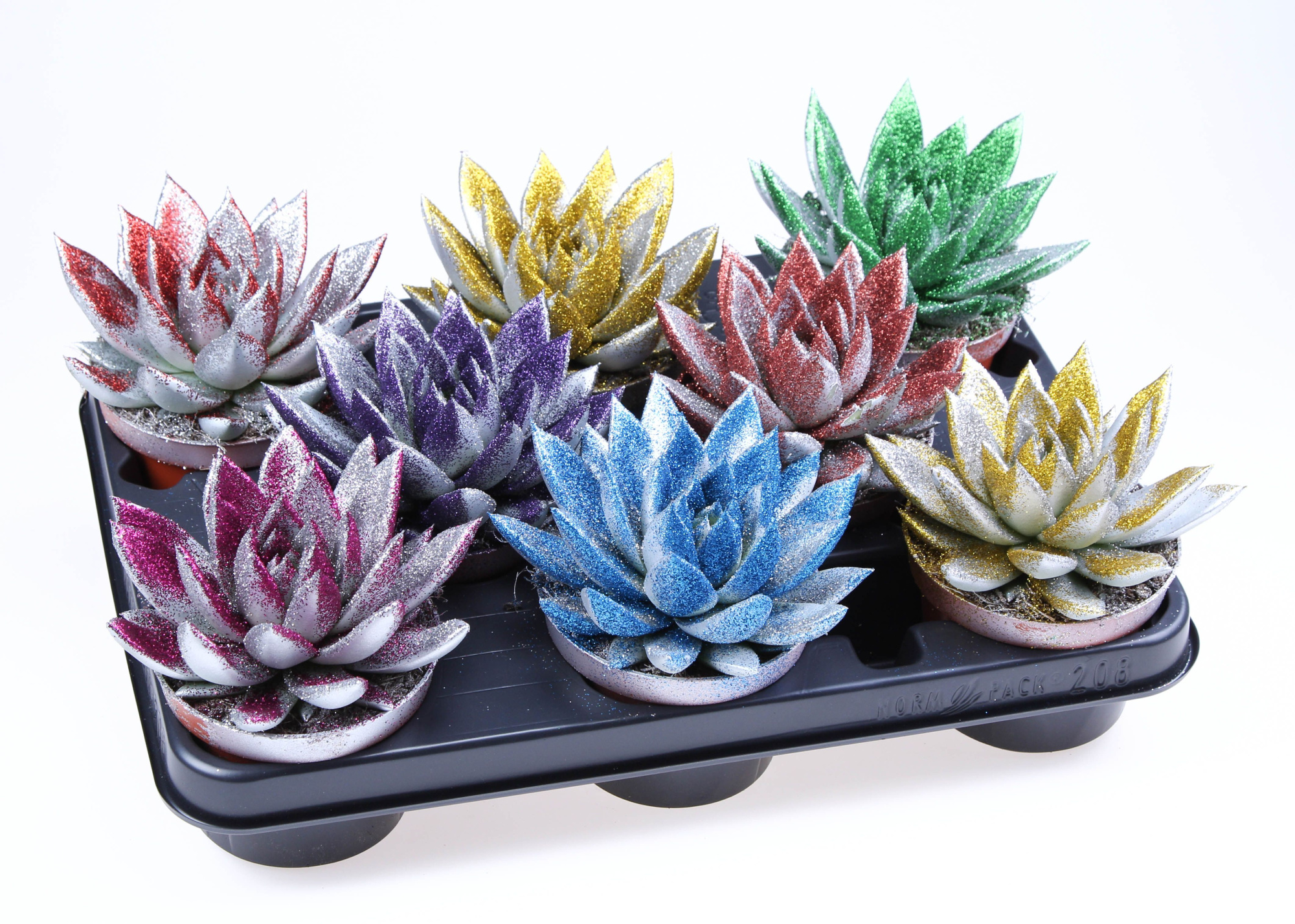 Miranda zilver + MIX bioglitter, D 10,5