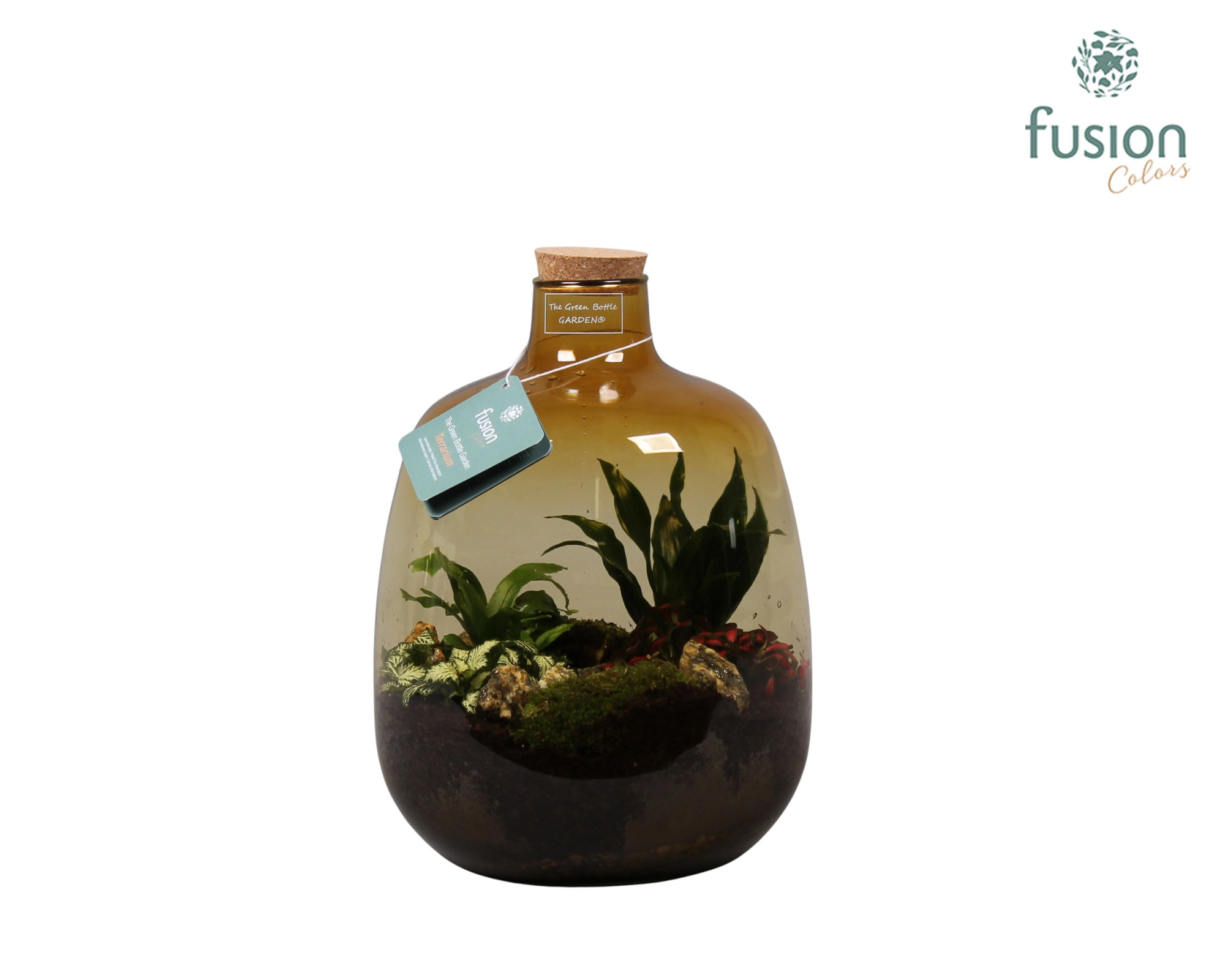 Glas Terrarium oker met Arrangement, D 22