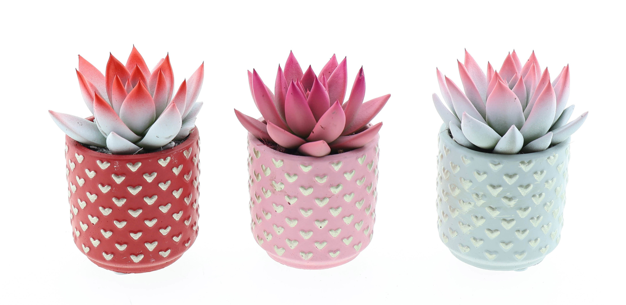 Miranda 2 colors little heart pot, D 6