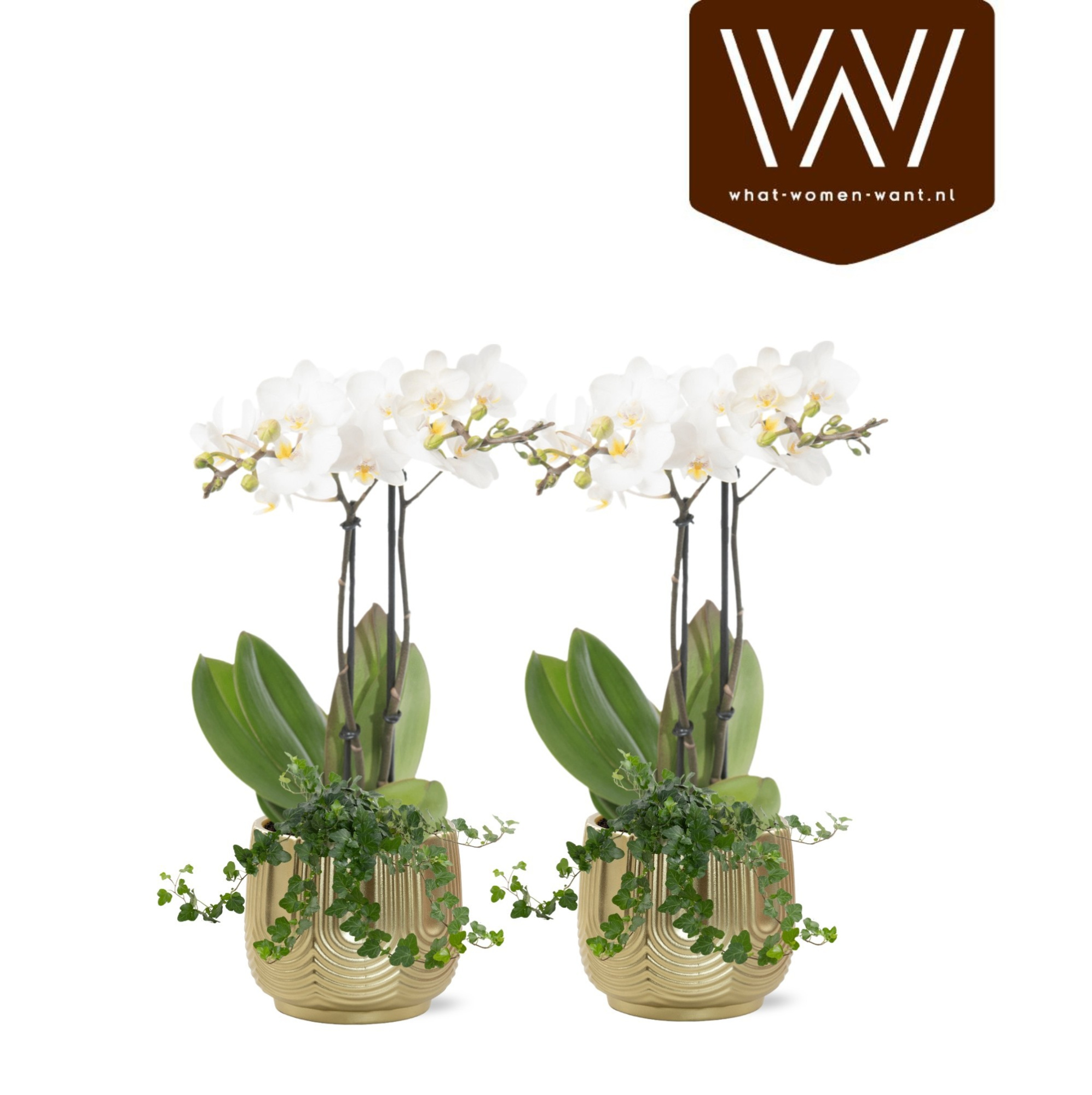 Collectie 'Top Blend' - Arrangementen in keramiek Maud, D 12