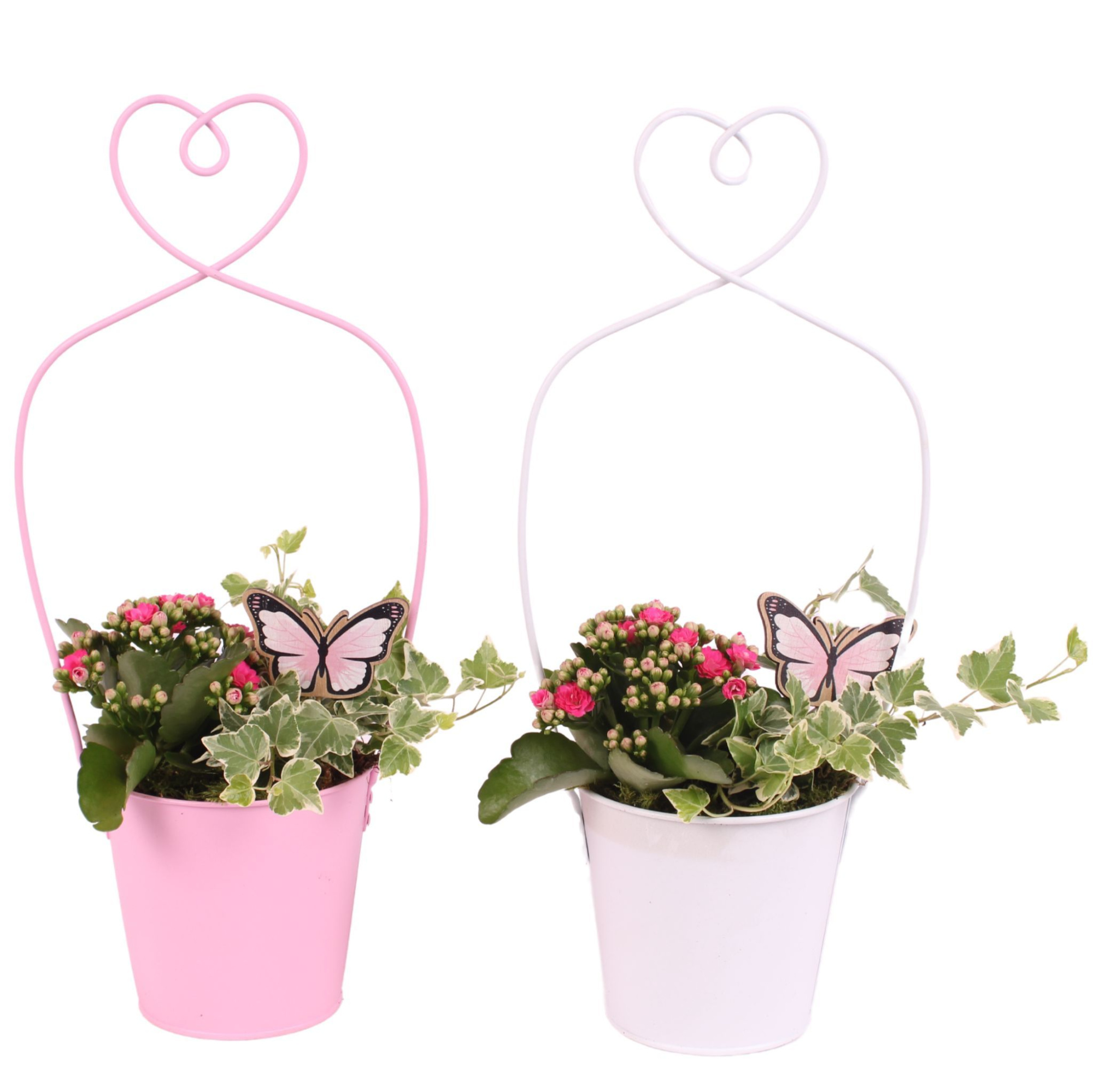 Mothersday Arr. Indoor Zinc Framepot with Heart Ø17cm 2PP, D 17