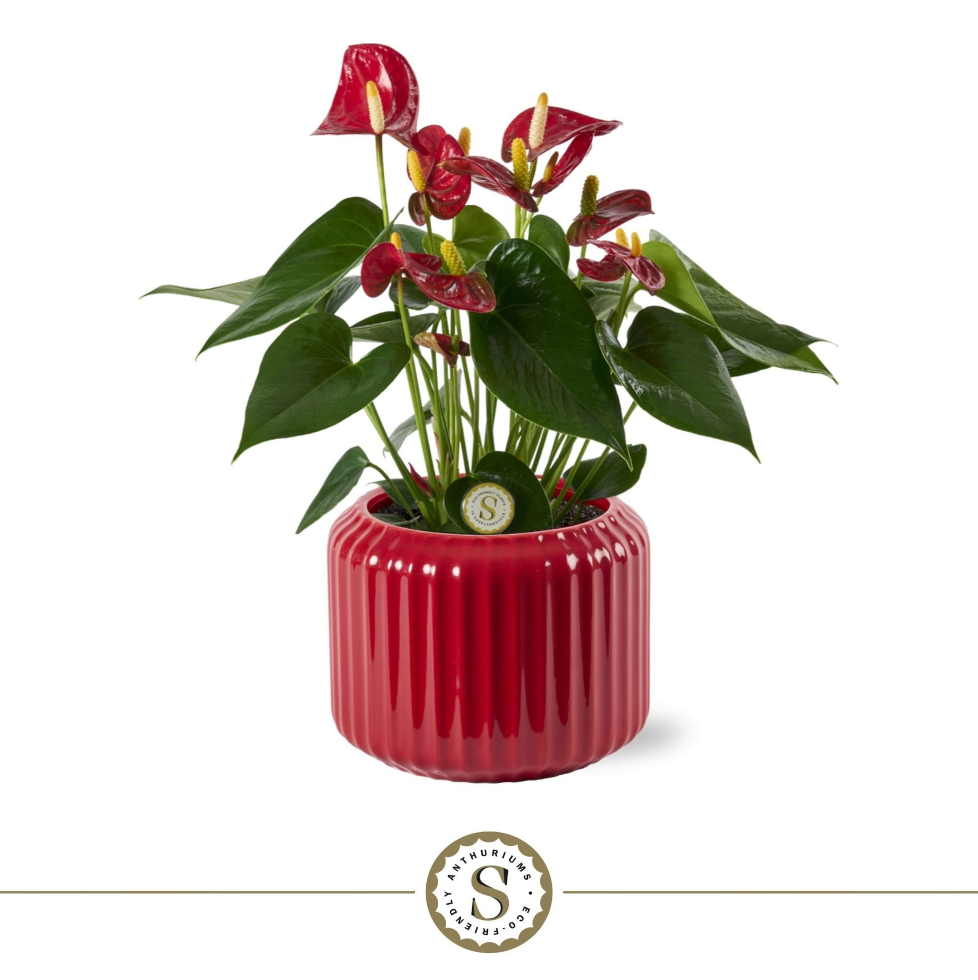 Bologna Keramiek Red - Red, D 12