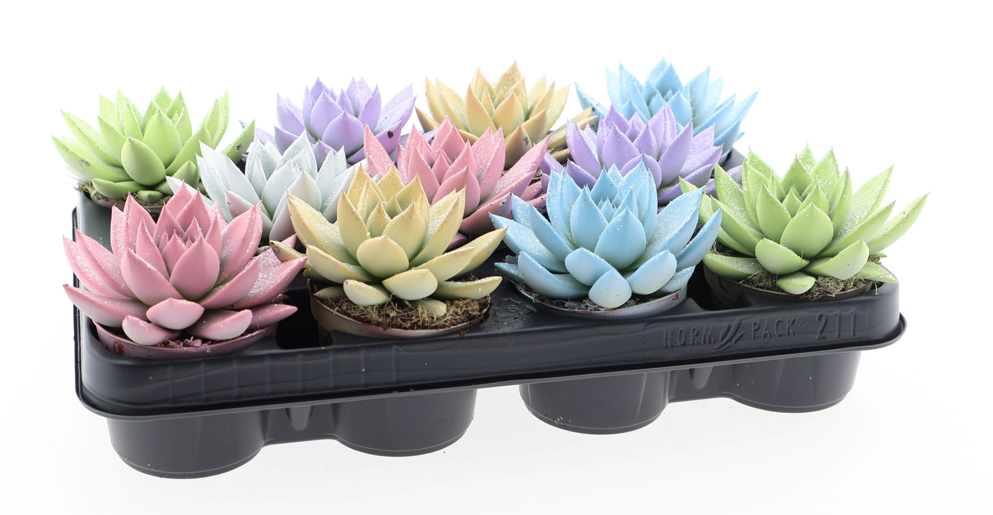 Miranda pastel glittermix, D 8,5