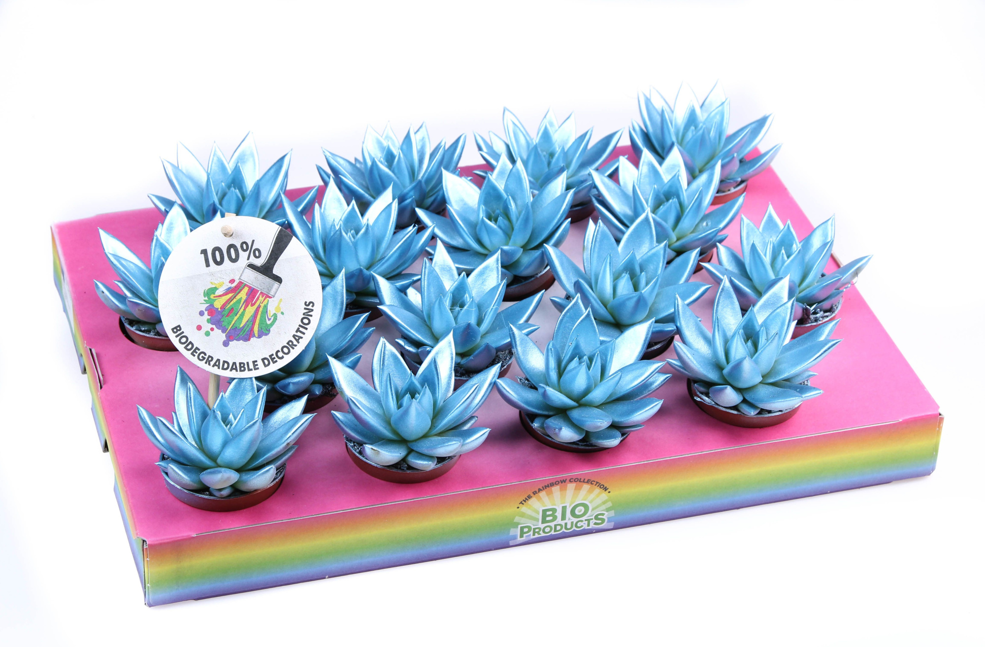 Rainbow metallic blue, D 6,5