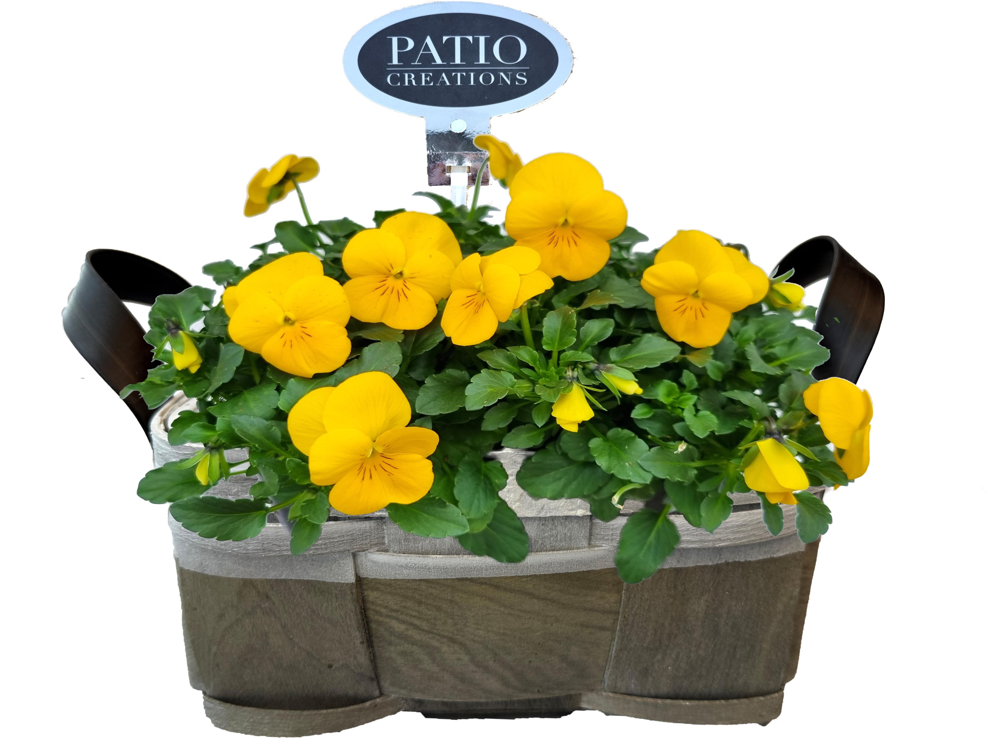 V825-9001 Viola Fenna lederlook handvat S, D 21