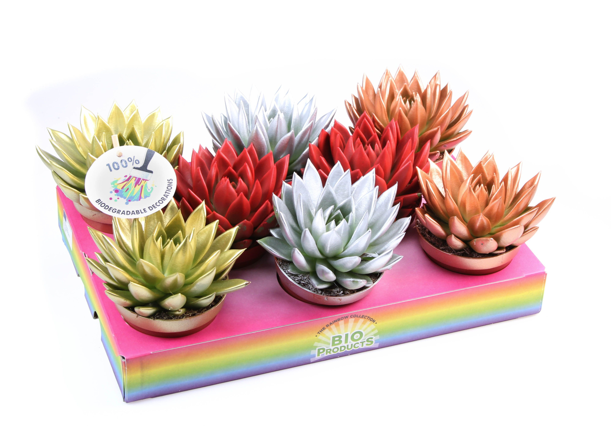 Bio miranda kerstmix, D 10,5