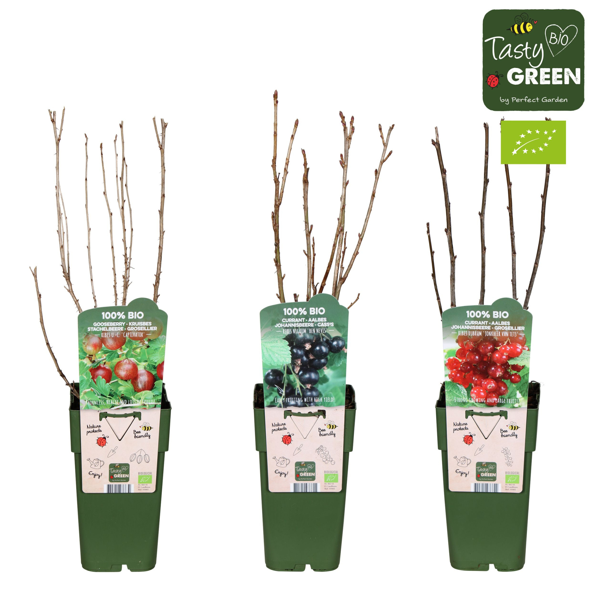 Ribes mix laag bio P15, D 15