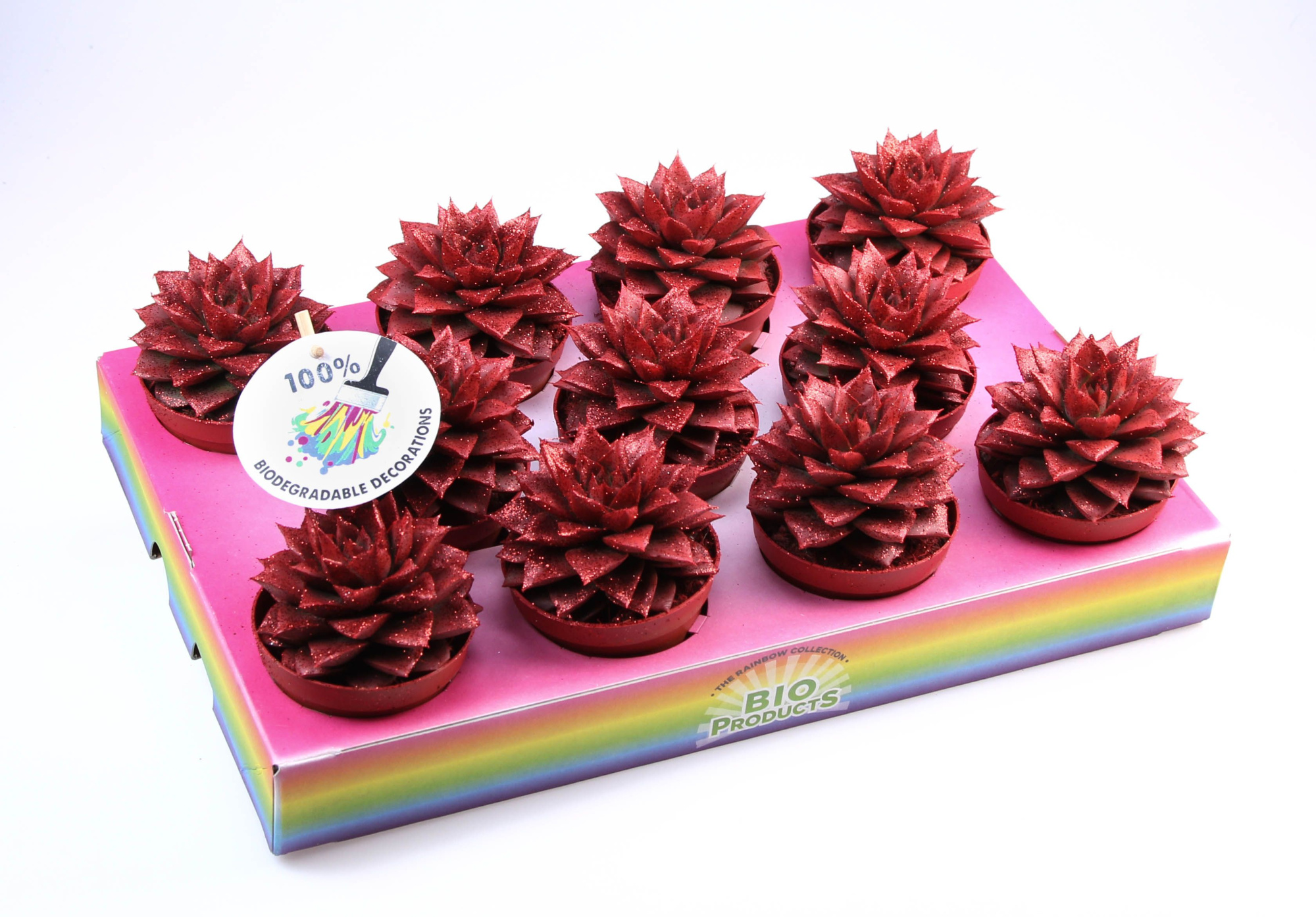 Bio purper red glitter, D 8,5