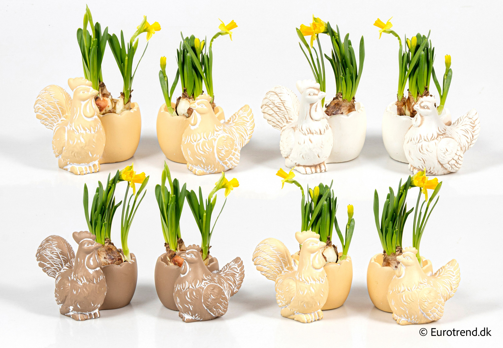 Narcissus in Easter ceramic 2026, D 6