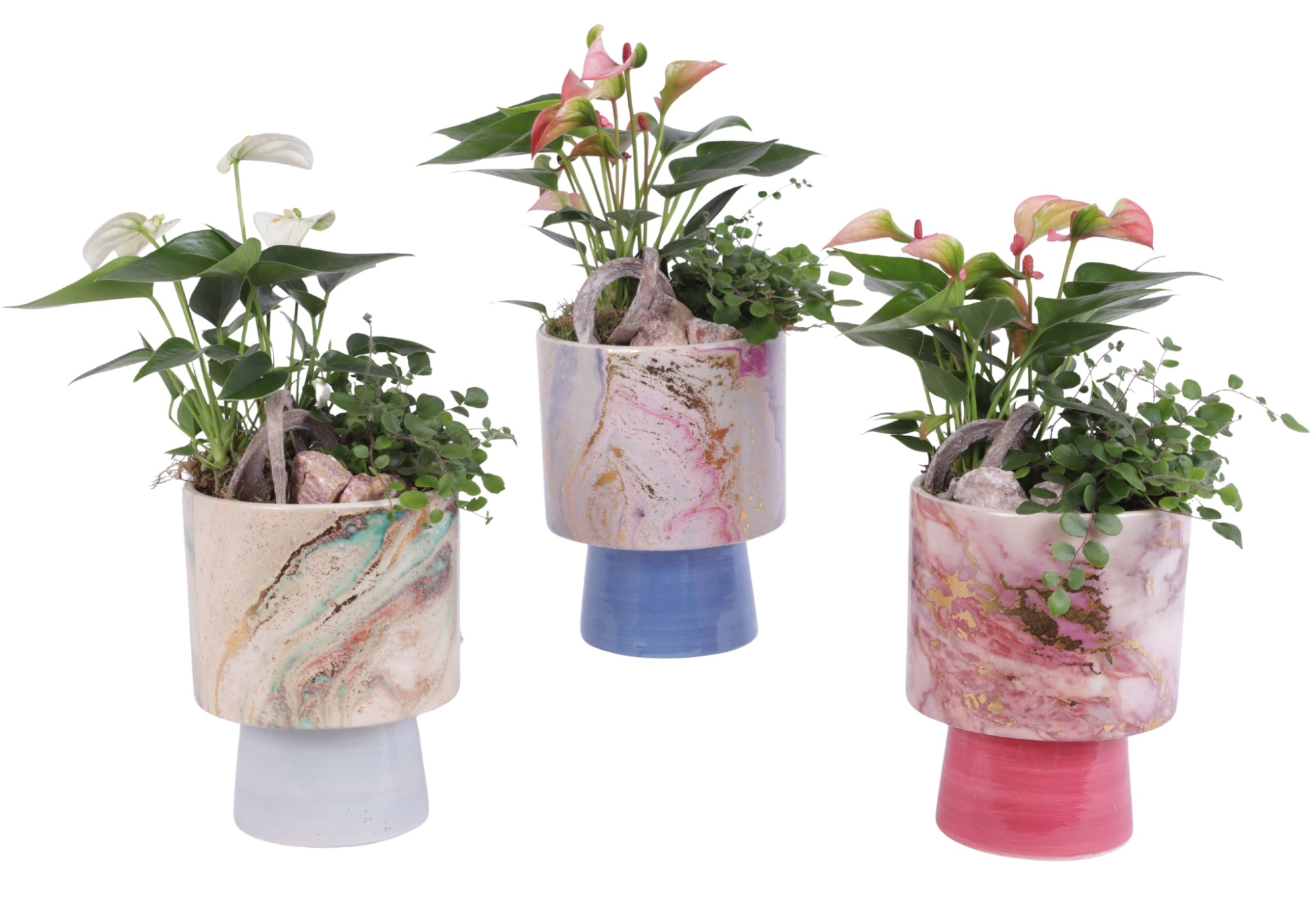 Yearround Arr. Indoor Ceramic Fresh Breeze FB676 Ø14cm 2PP, D 14