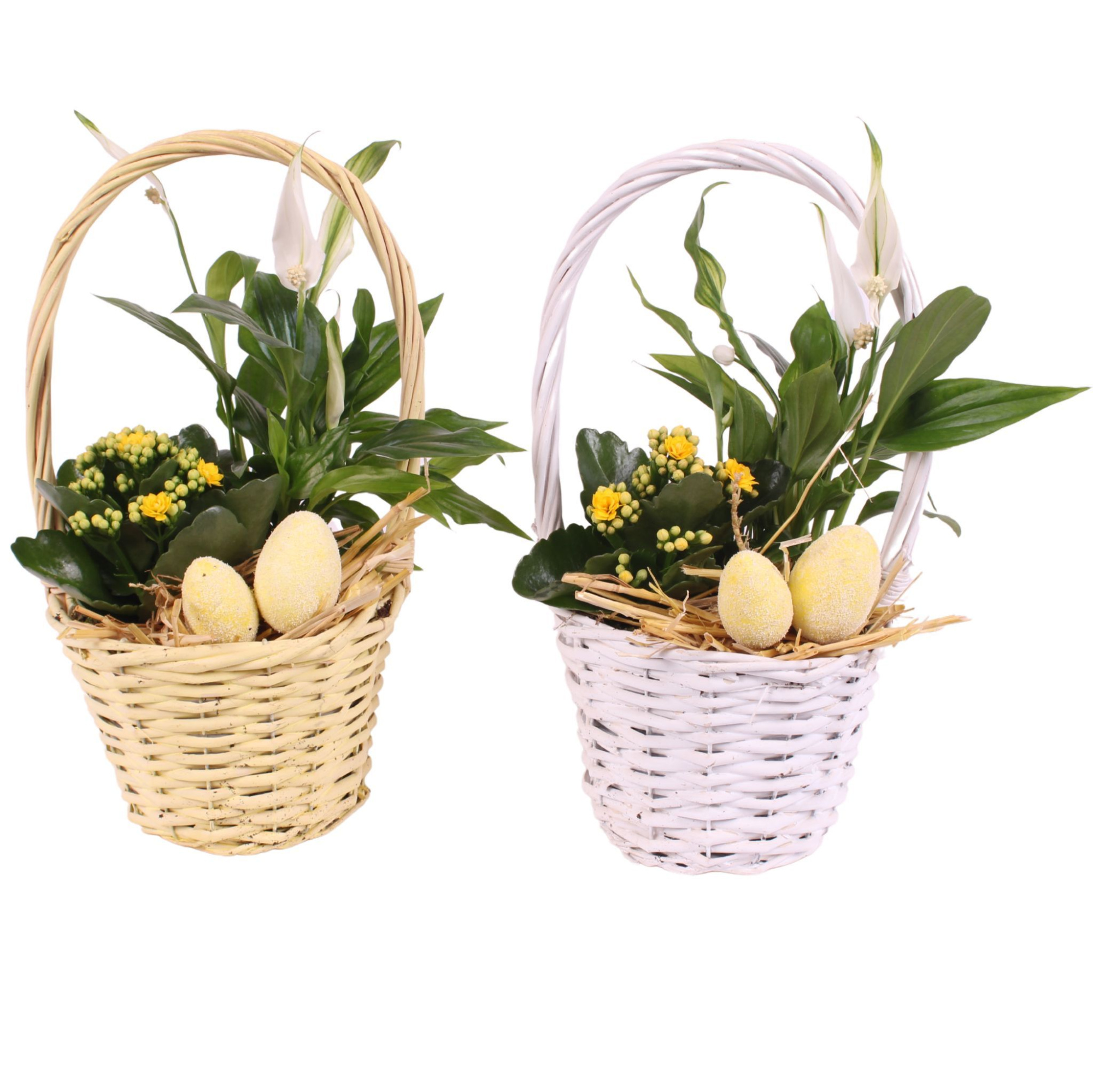 Easter Arr. Indoor Willow Handle Basket Yel/White Ø17cm 2PP, D 17
