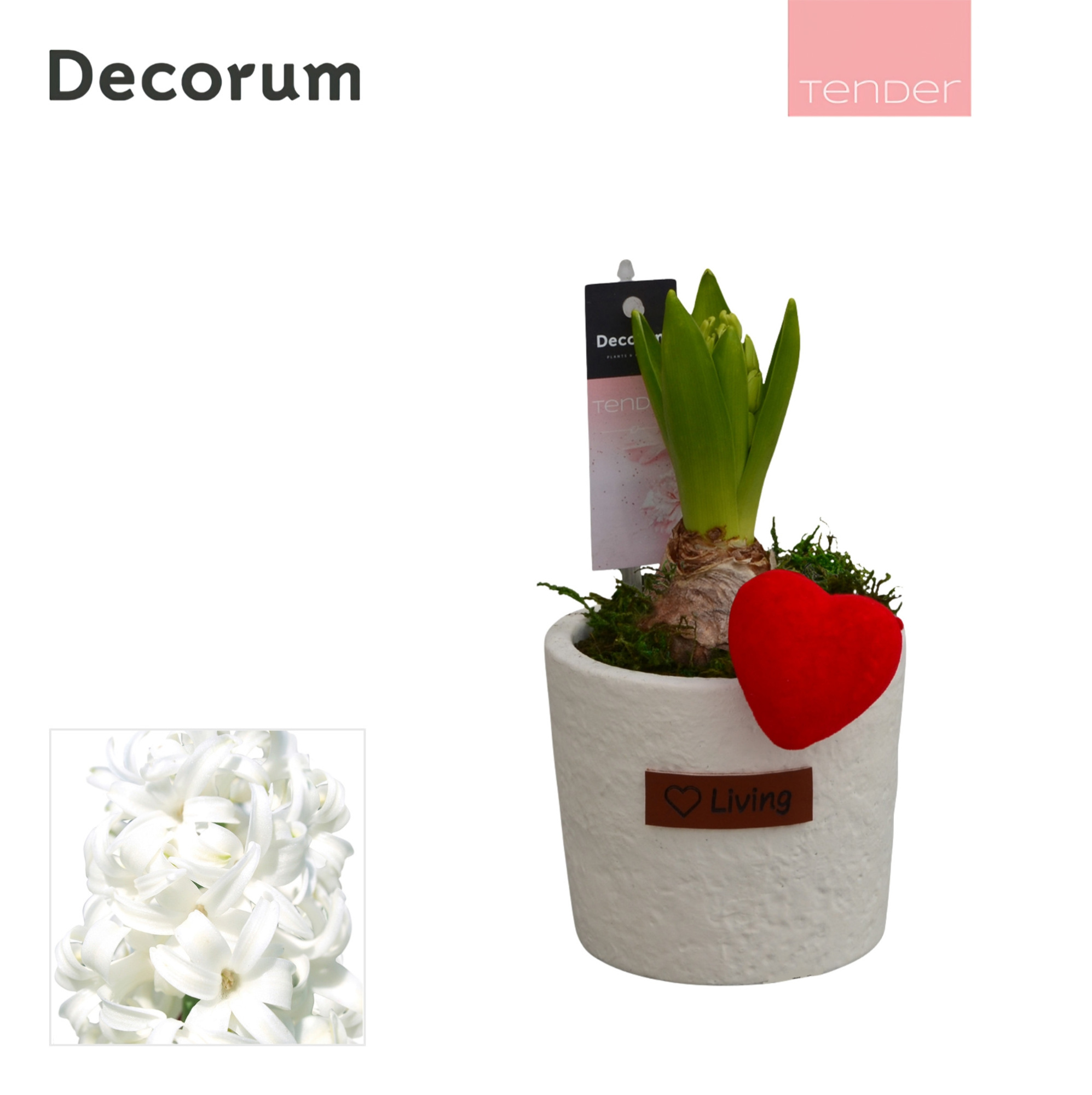 Hyacint Love Living HL15134WP [TENDER], D 10