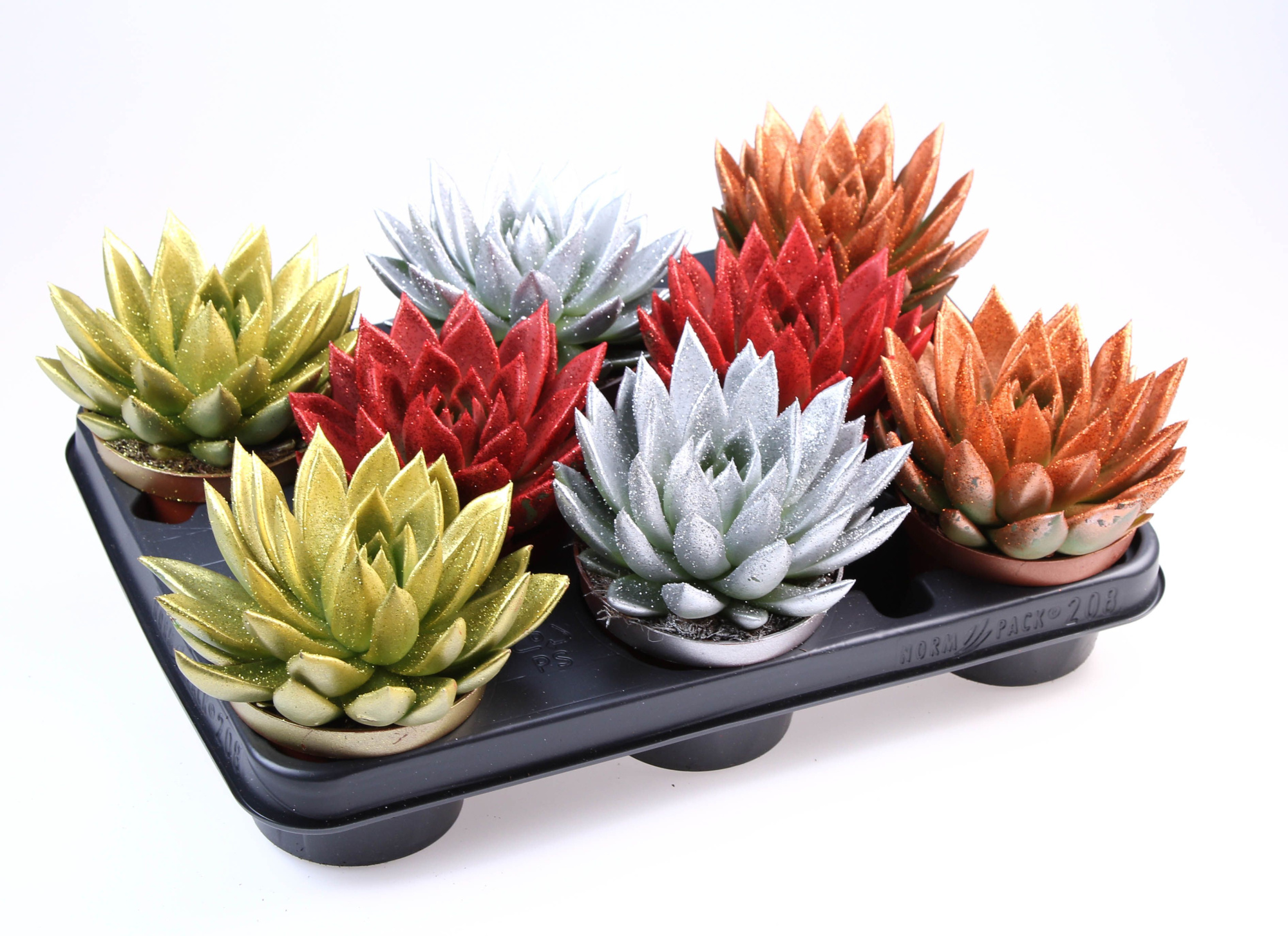 Miranda glitter mix + bio glitter, D 10,5