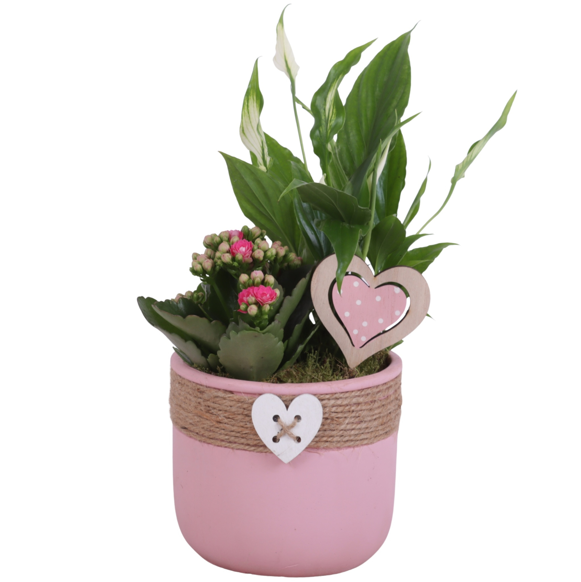 Mothersday Arr. Indoor Ceramic Pot Round Rope Heart Ø14cm 2PP, D 14