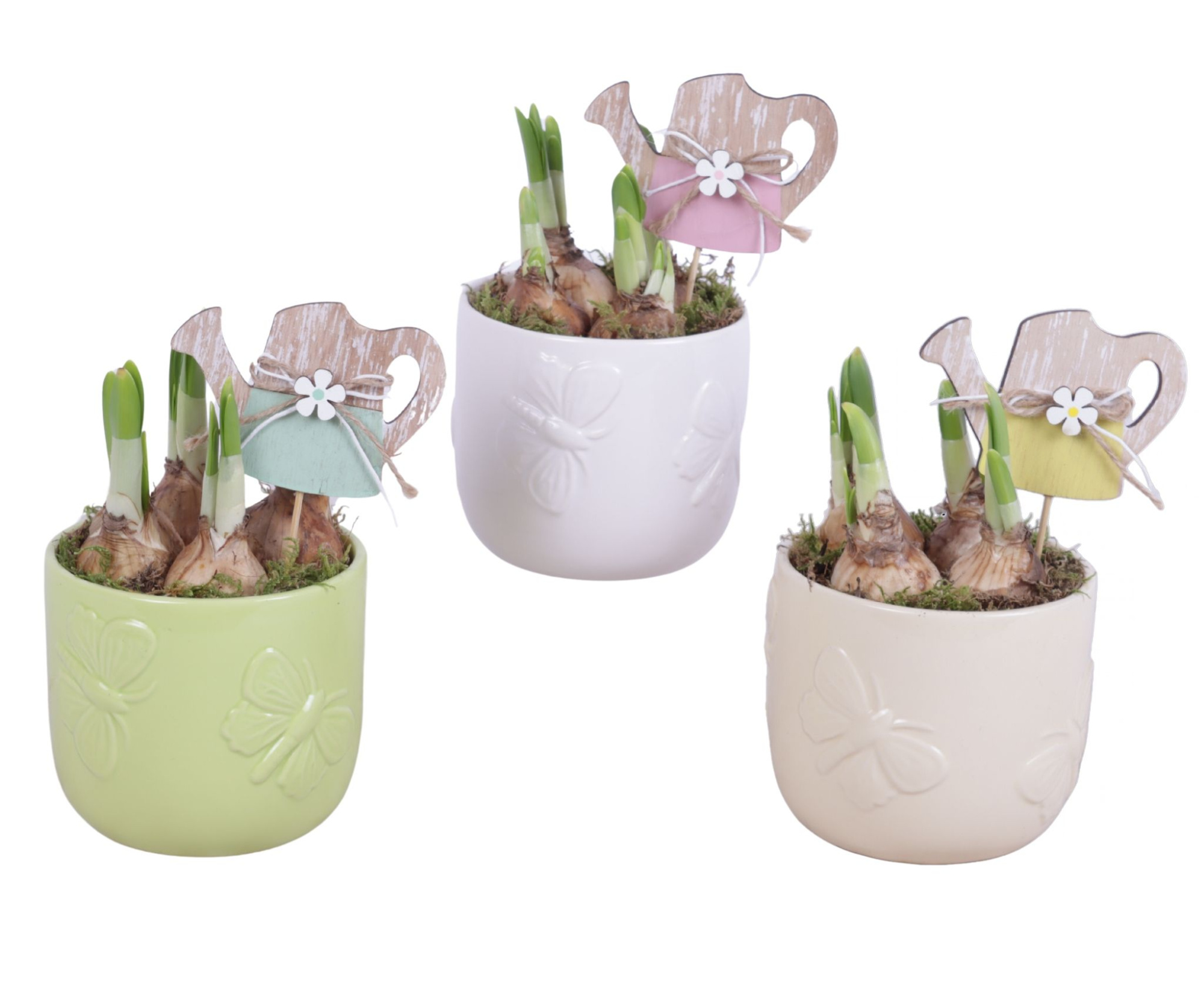 Bulbs Arr. Narcis Ceramic Pot Butterfly Relief Ø10cm, D 10