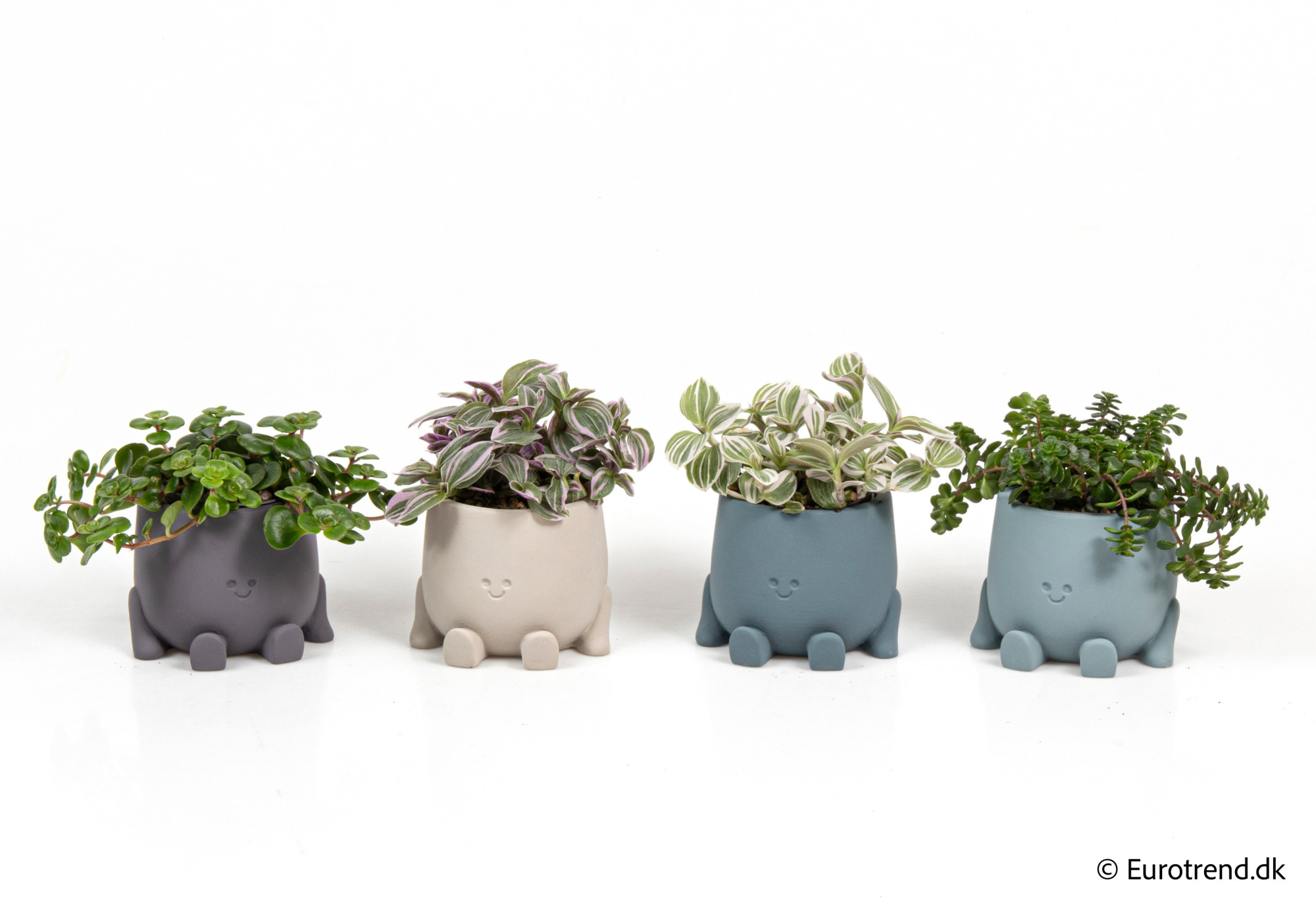 Green mix in New Look ceramic 2026, D 6