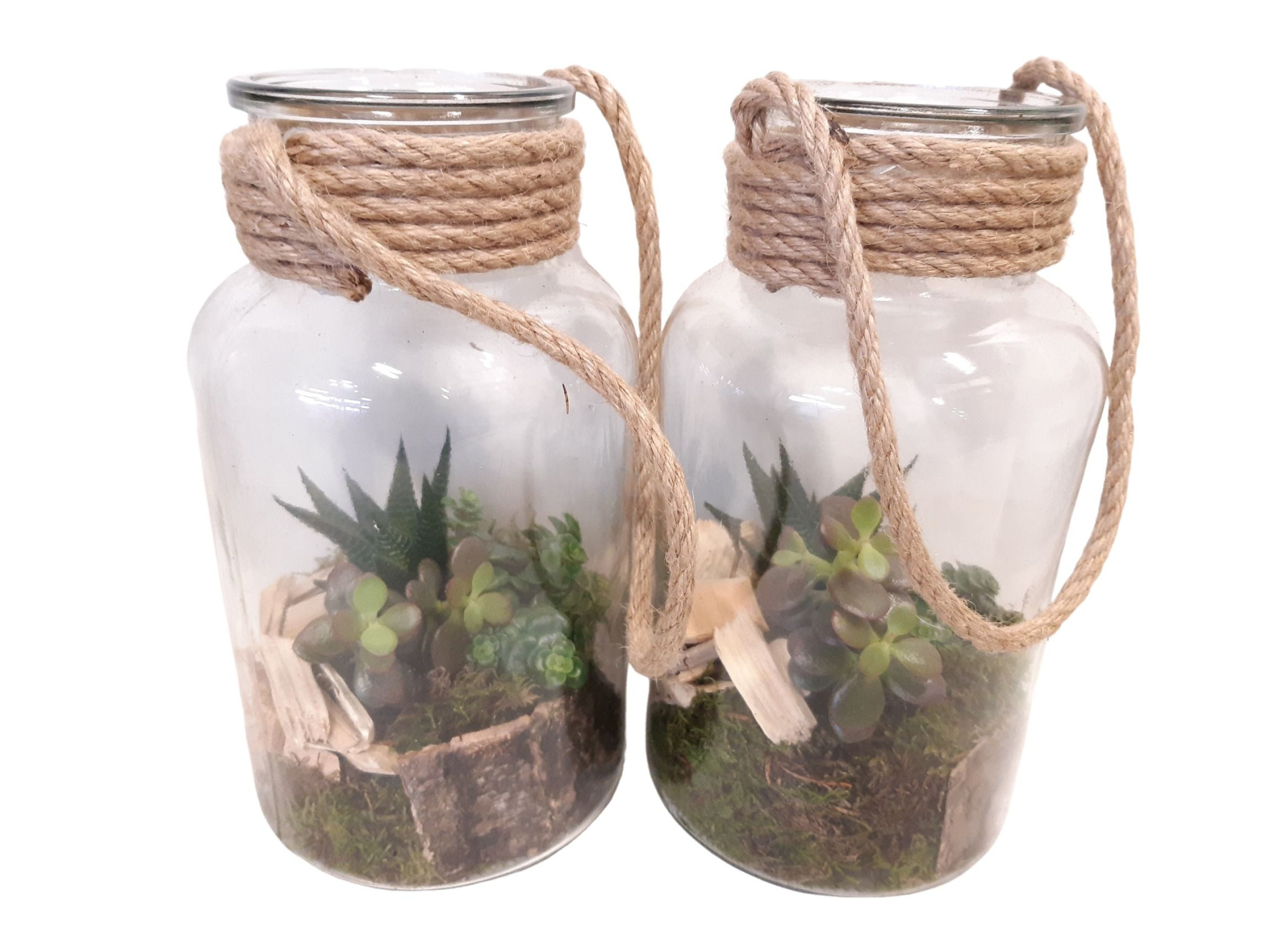 714 RP Fles / Terrarium 14/26 mini Succulentmix, D 14