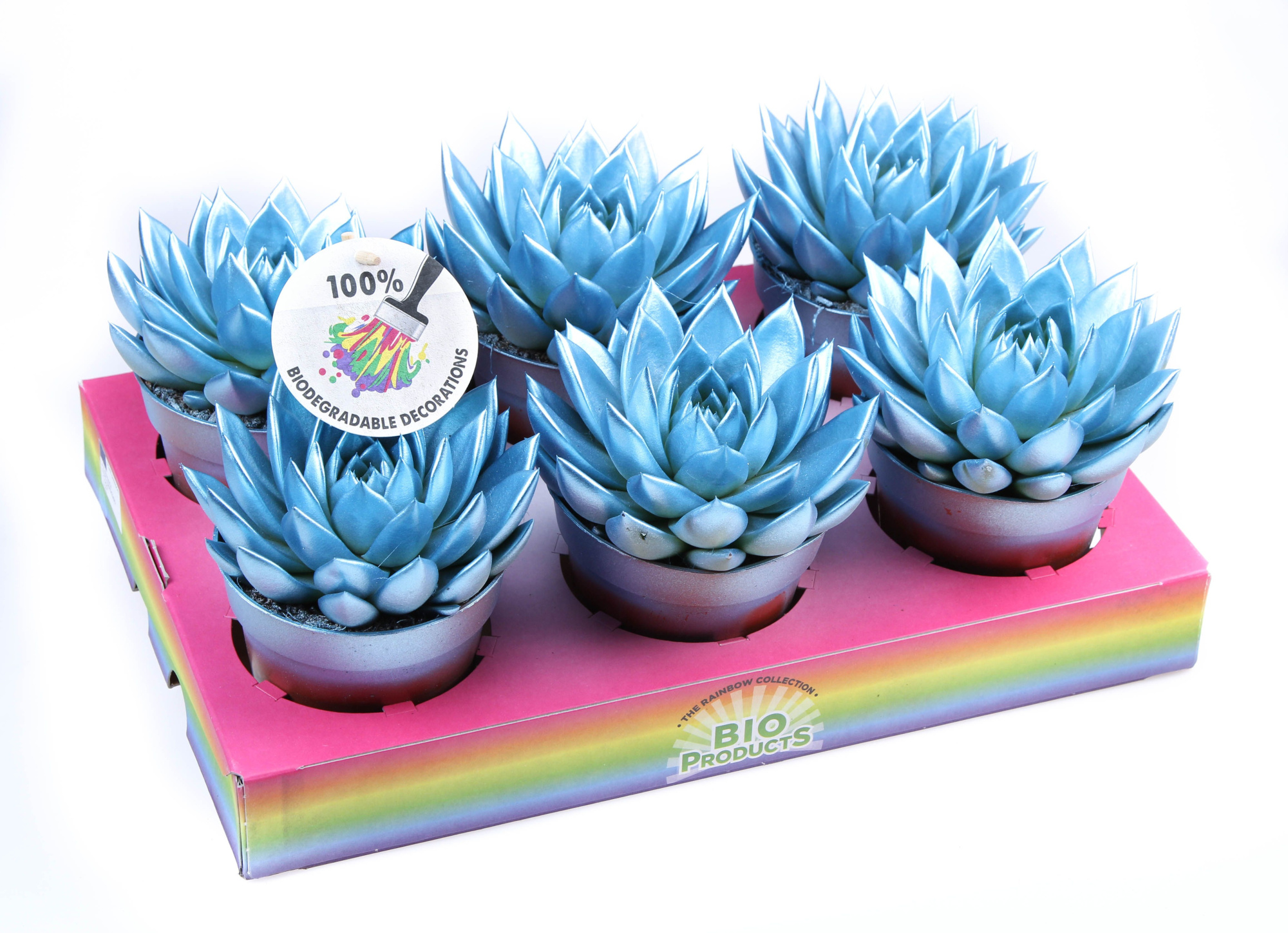 Rainbow metallic blue, D 12