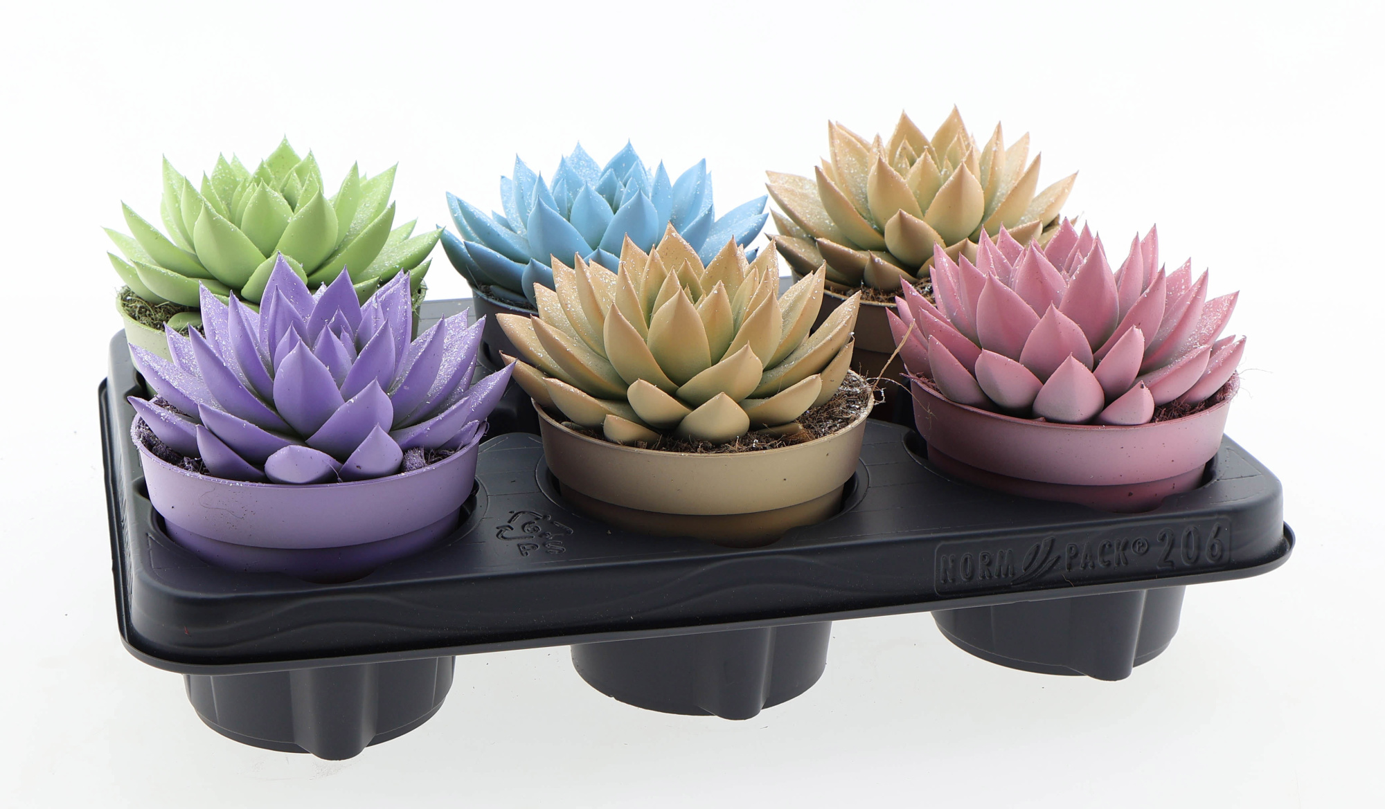 Miranda pastel glittermix, D 12