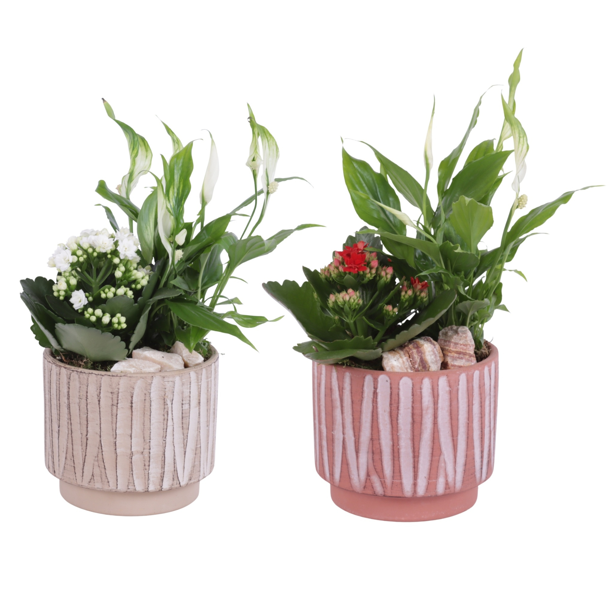 Yearround Arr. Indoor Ceramic Naturel Touch NT667 Ø14cm 2PP, D 14