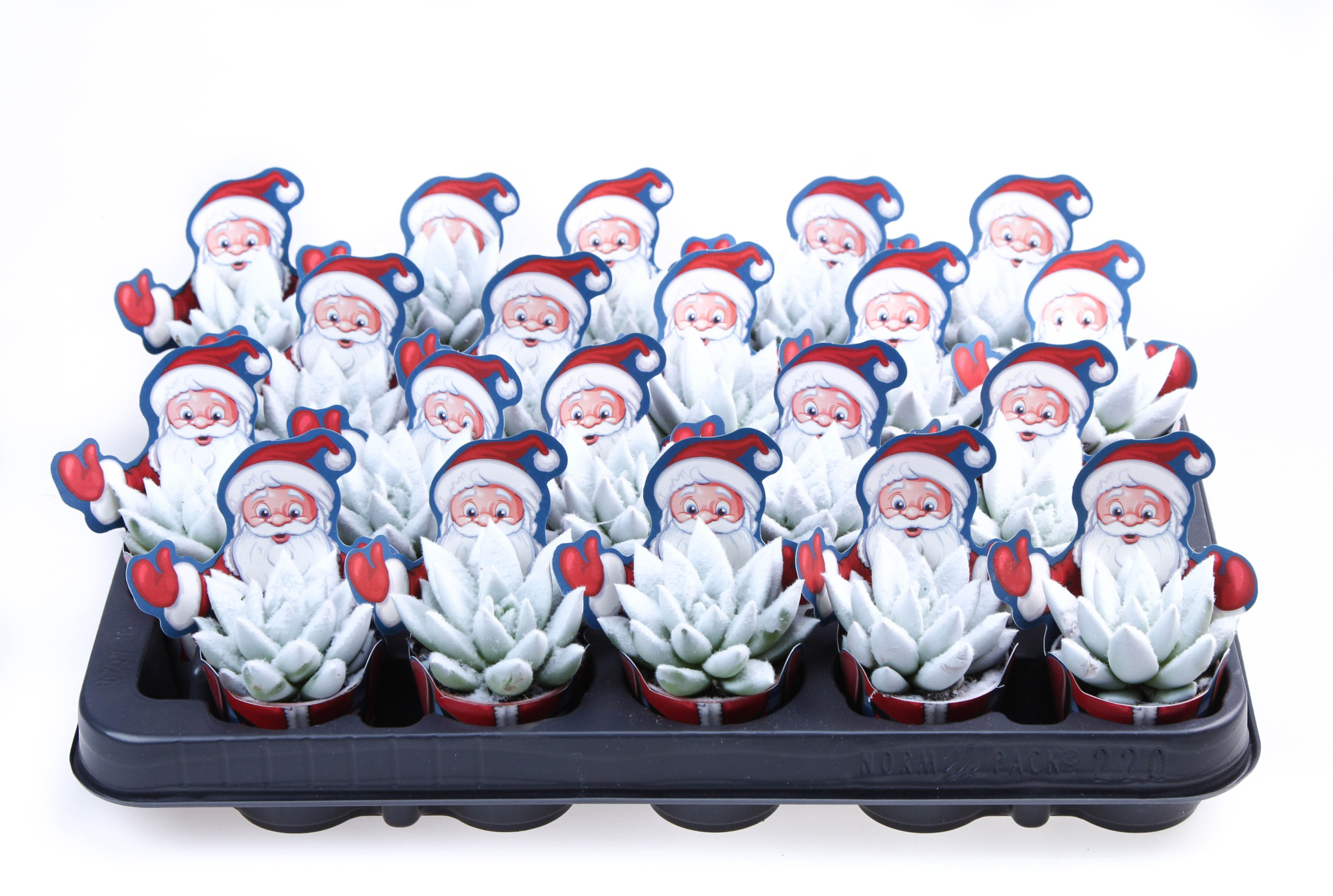 Potcover santaclaus Velvet white, D 5,5