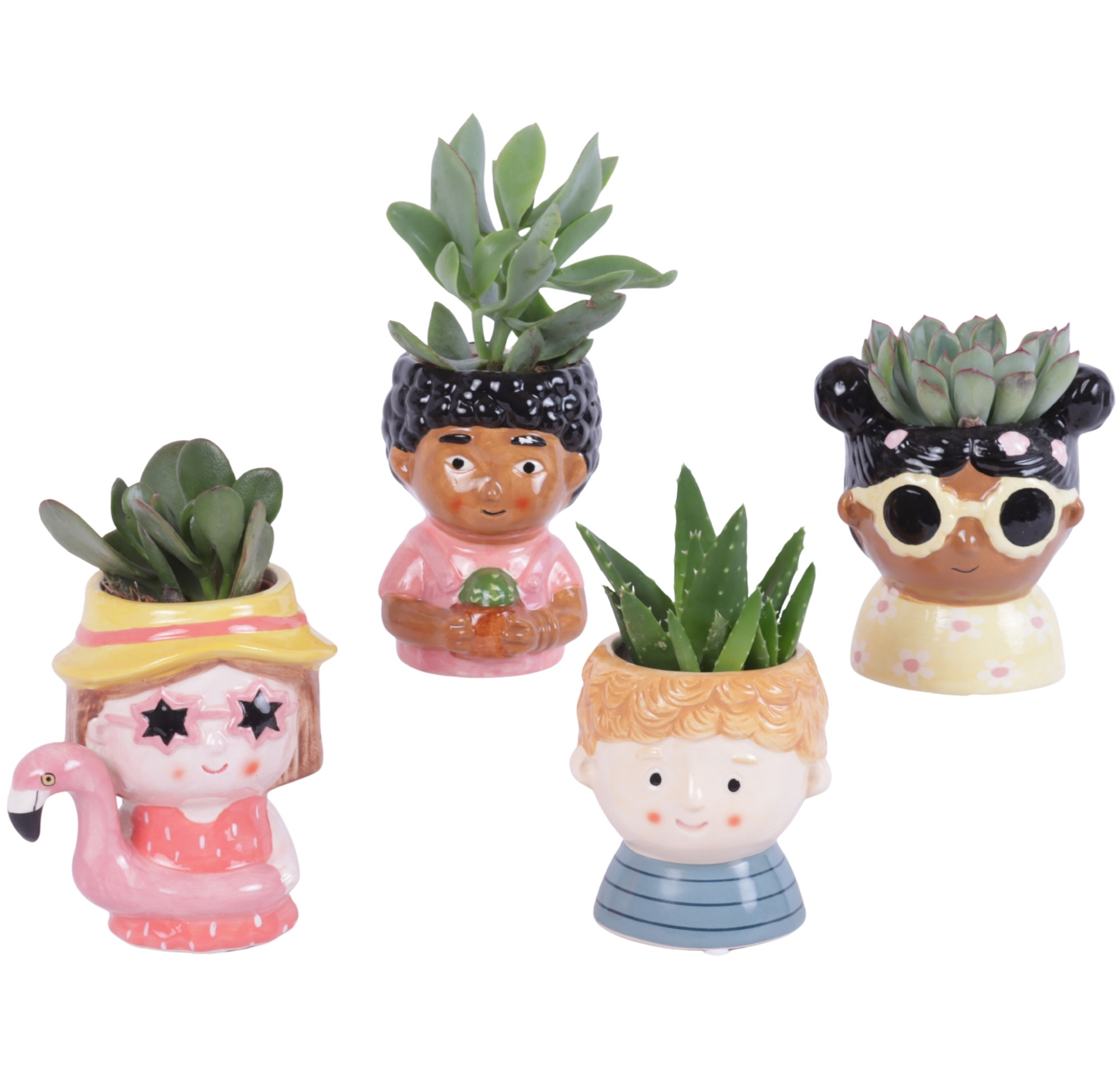 Succulenten mix 5,5 cm in happy face pot, D 11