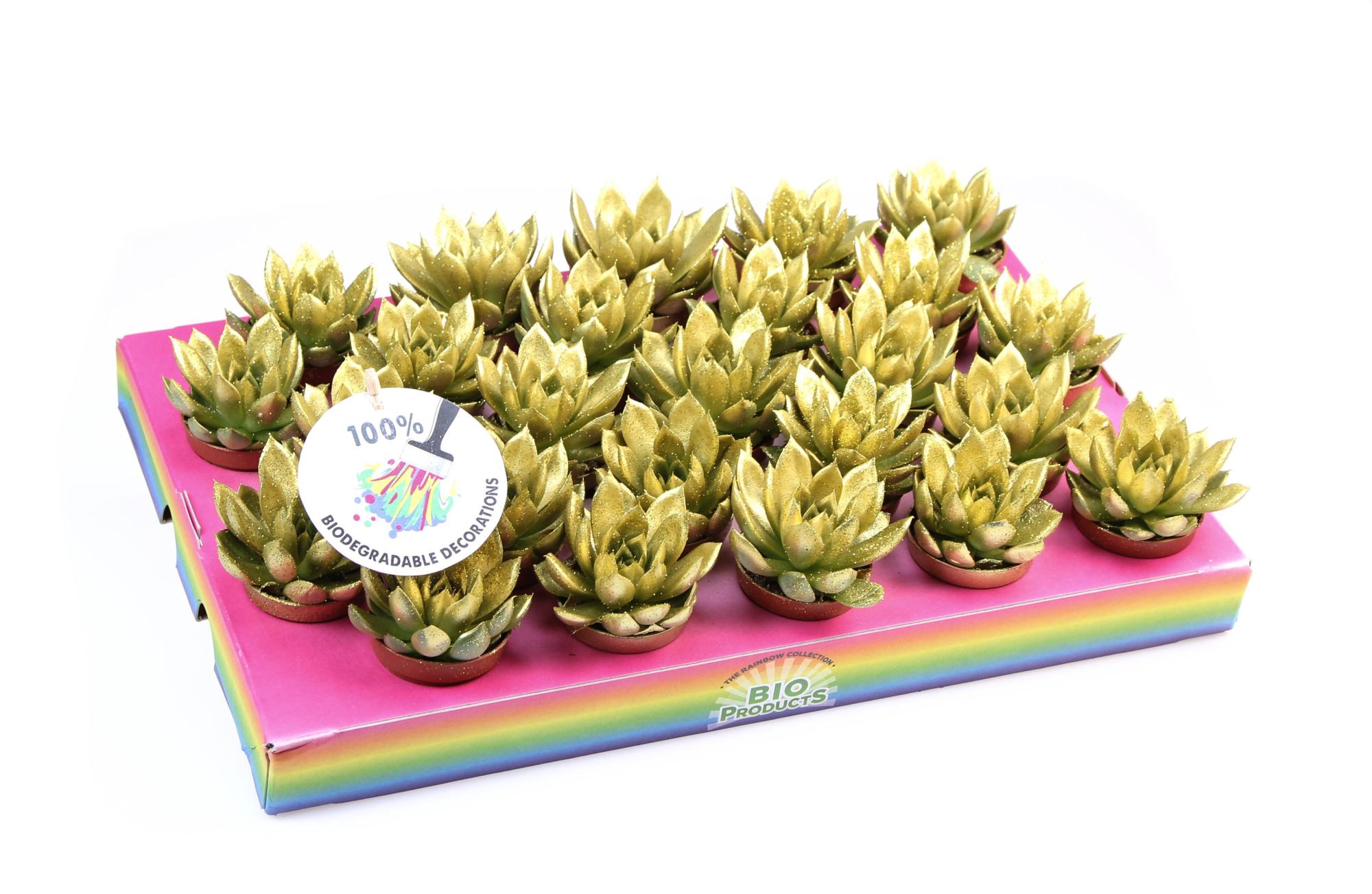 Bio miranda gold glitter, D 5,5