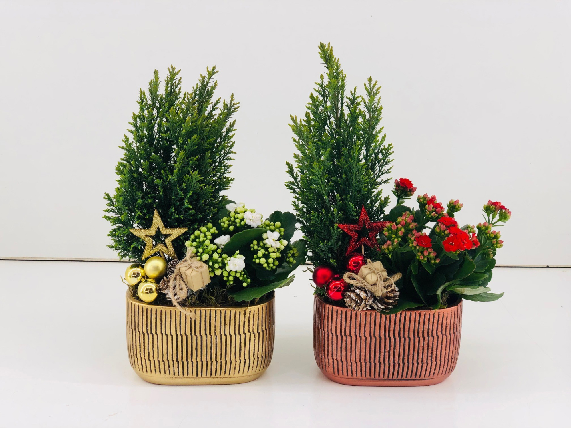 849 TDM : Pot 22 cm Kerst keramiek diverse mix planten, D 22