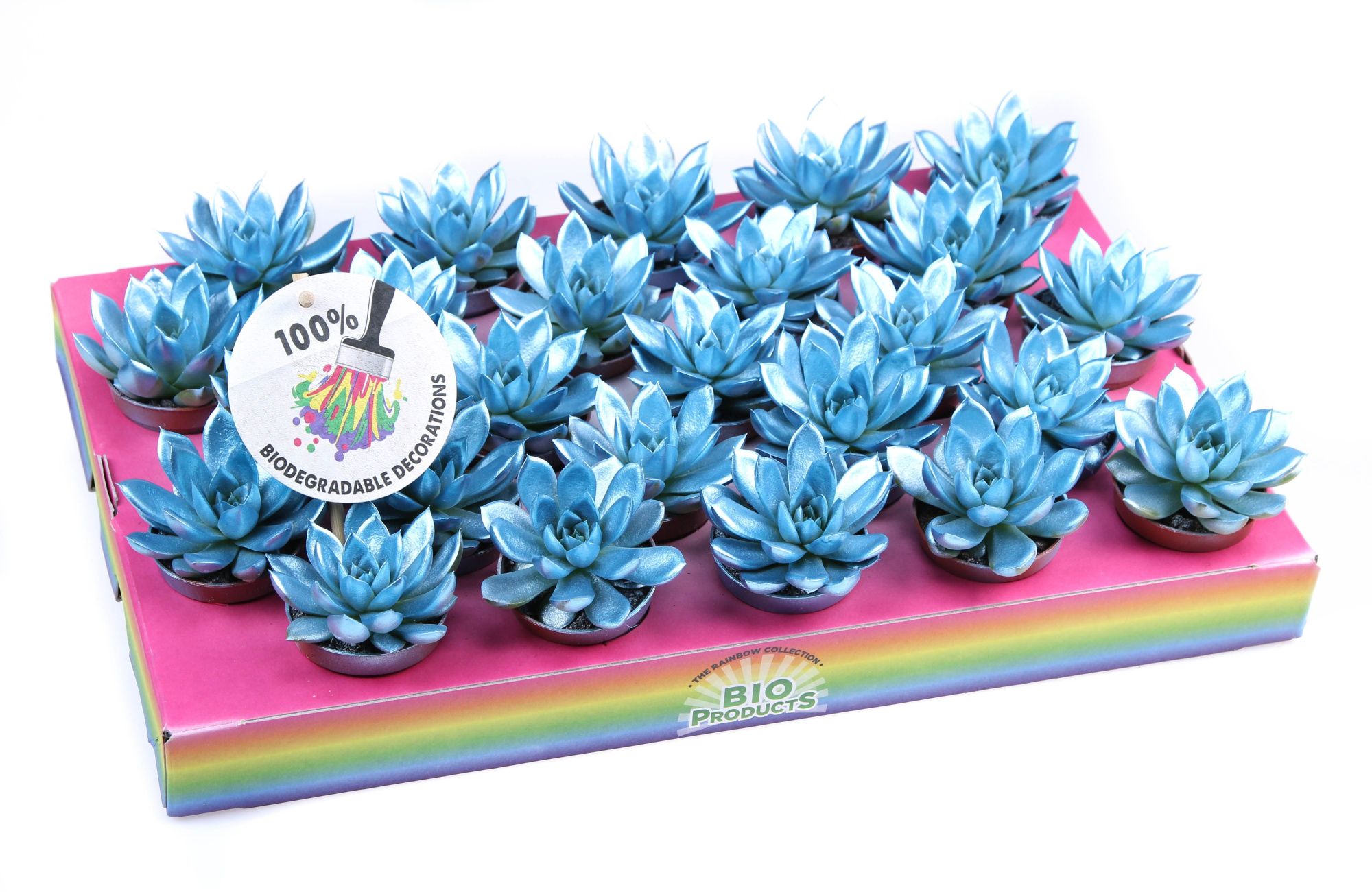 Rainbow metallic blue, D 5,5