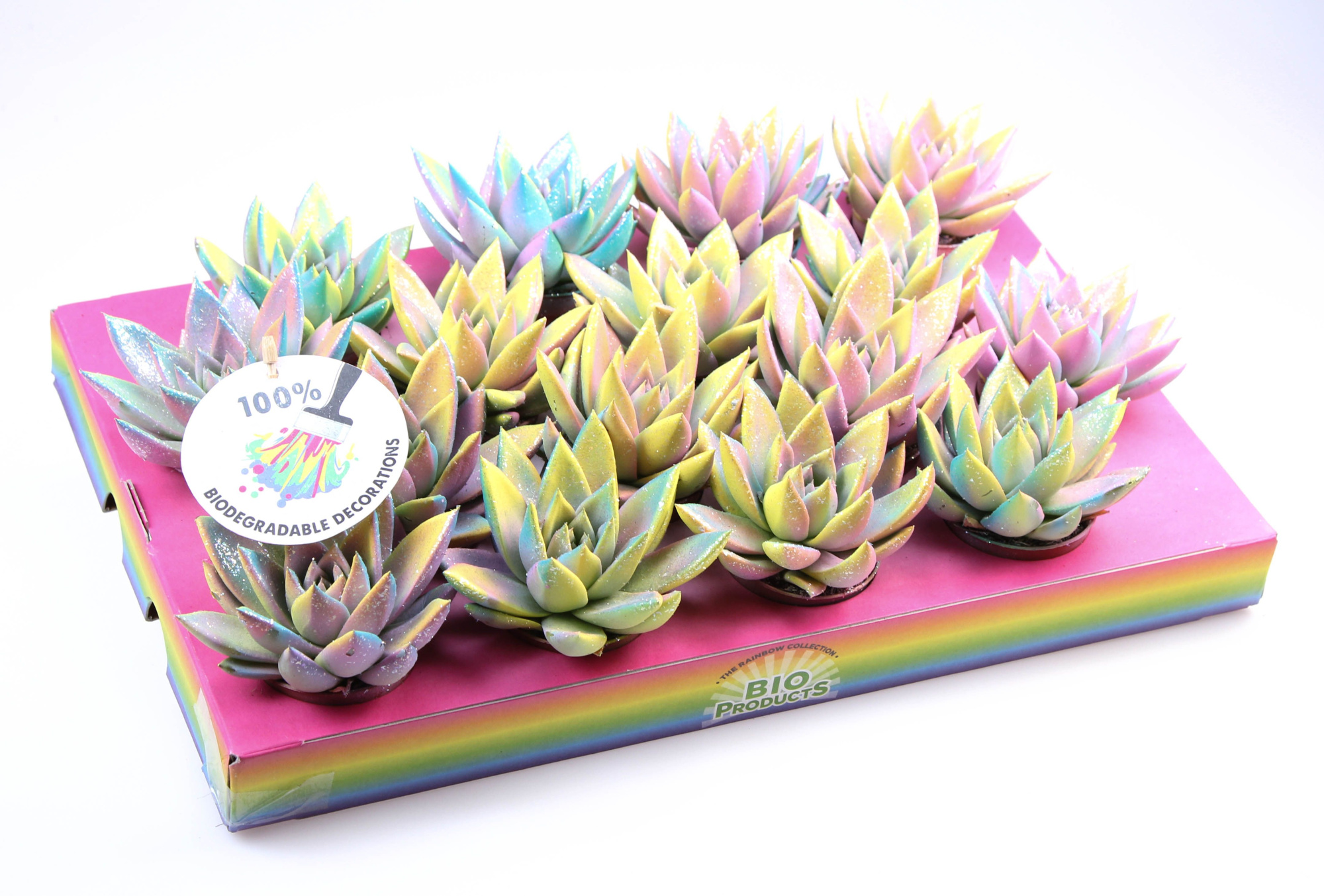 Miranda multi glitter mix, D 6