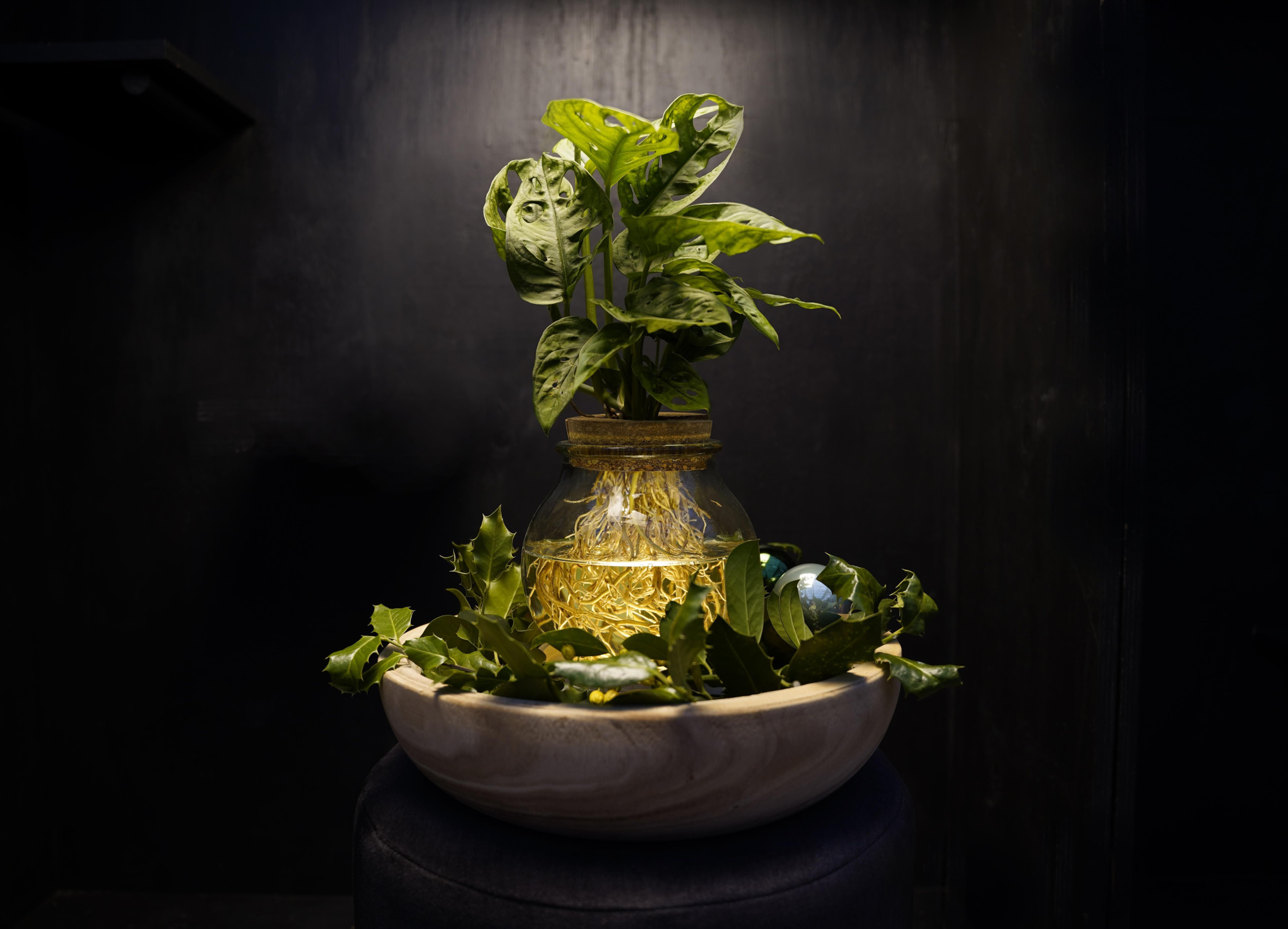 Christmas | Intenz mix in Bolglas + LED - levertijd: 24 u, D 12