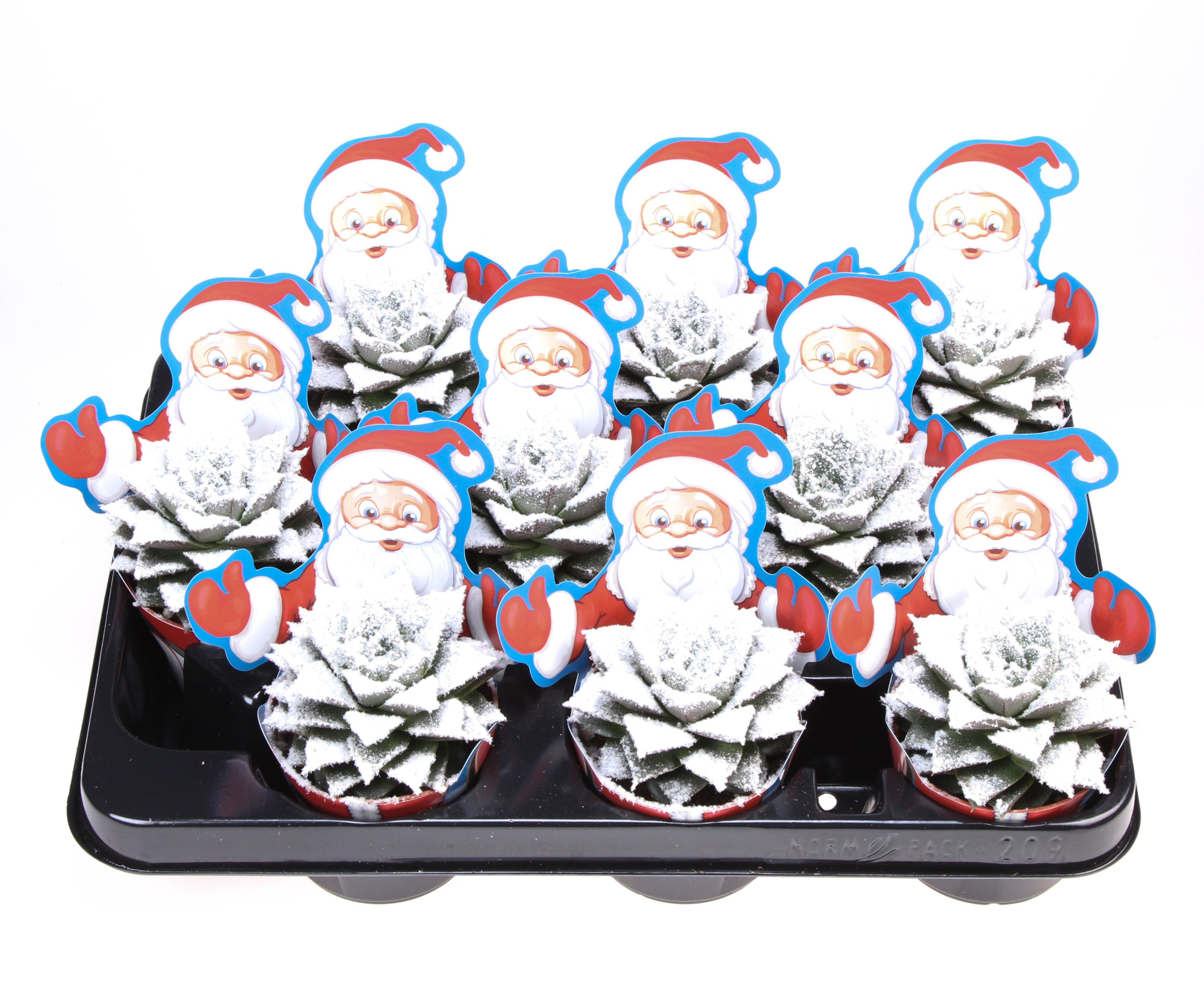 Potcover santaclaus purper bio snow, D 8,5