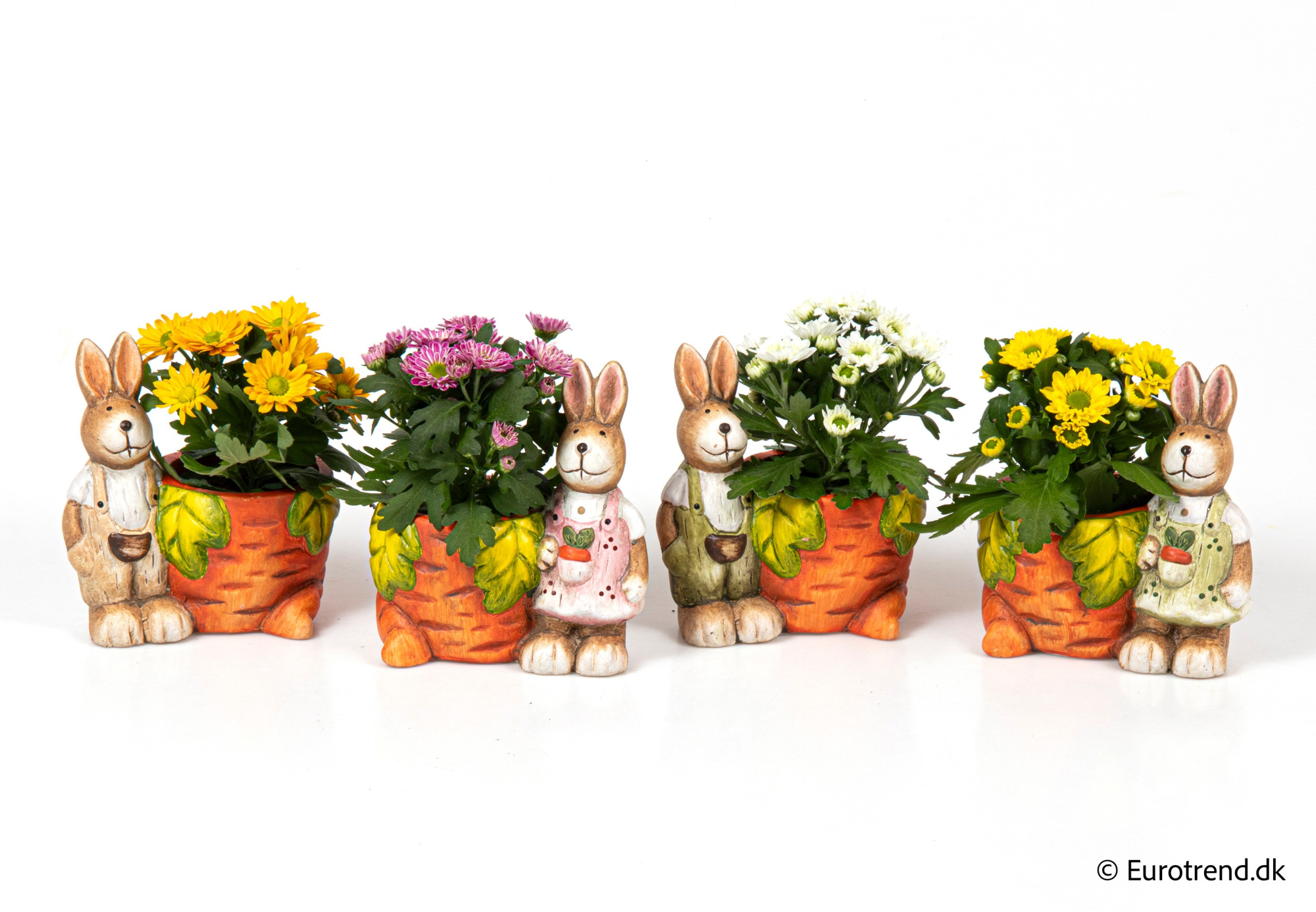 Chrysanthemum in Easter ceramic 2026, D 6