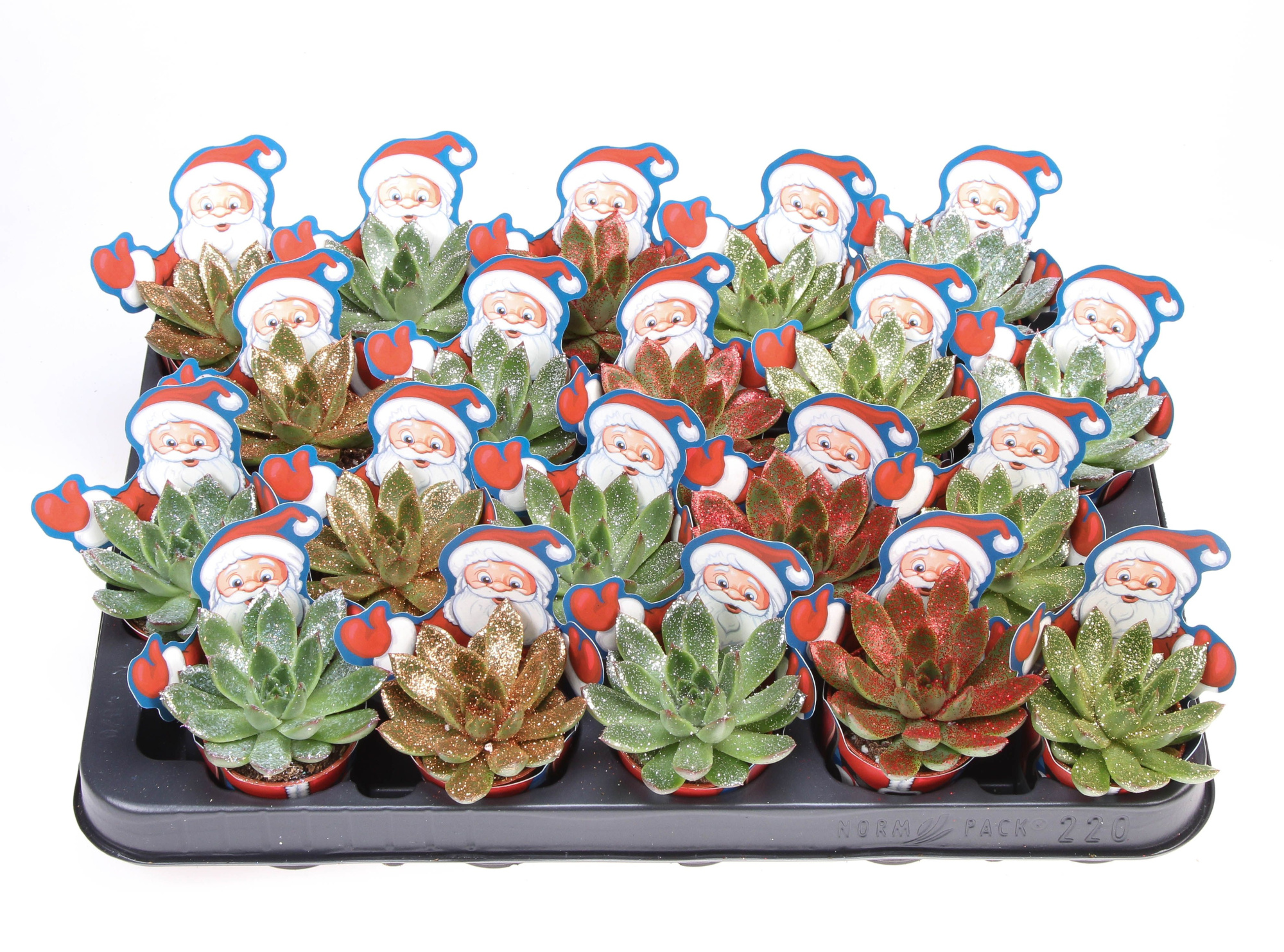 Potcover santaclaus miranda naturel glitter, D 5,5