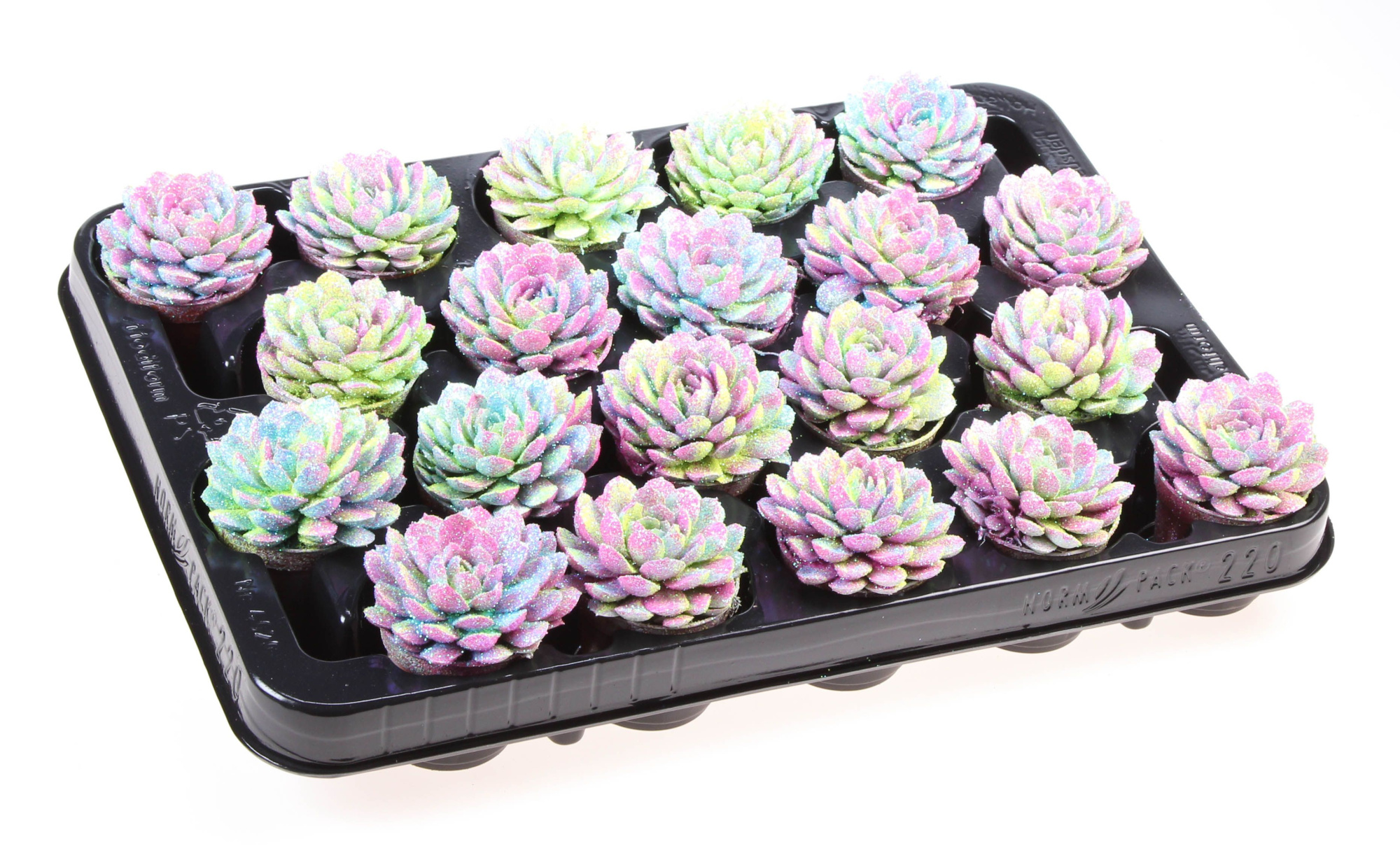 Elegans multi glitter mix, D 5,5