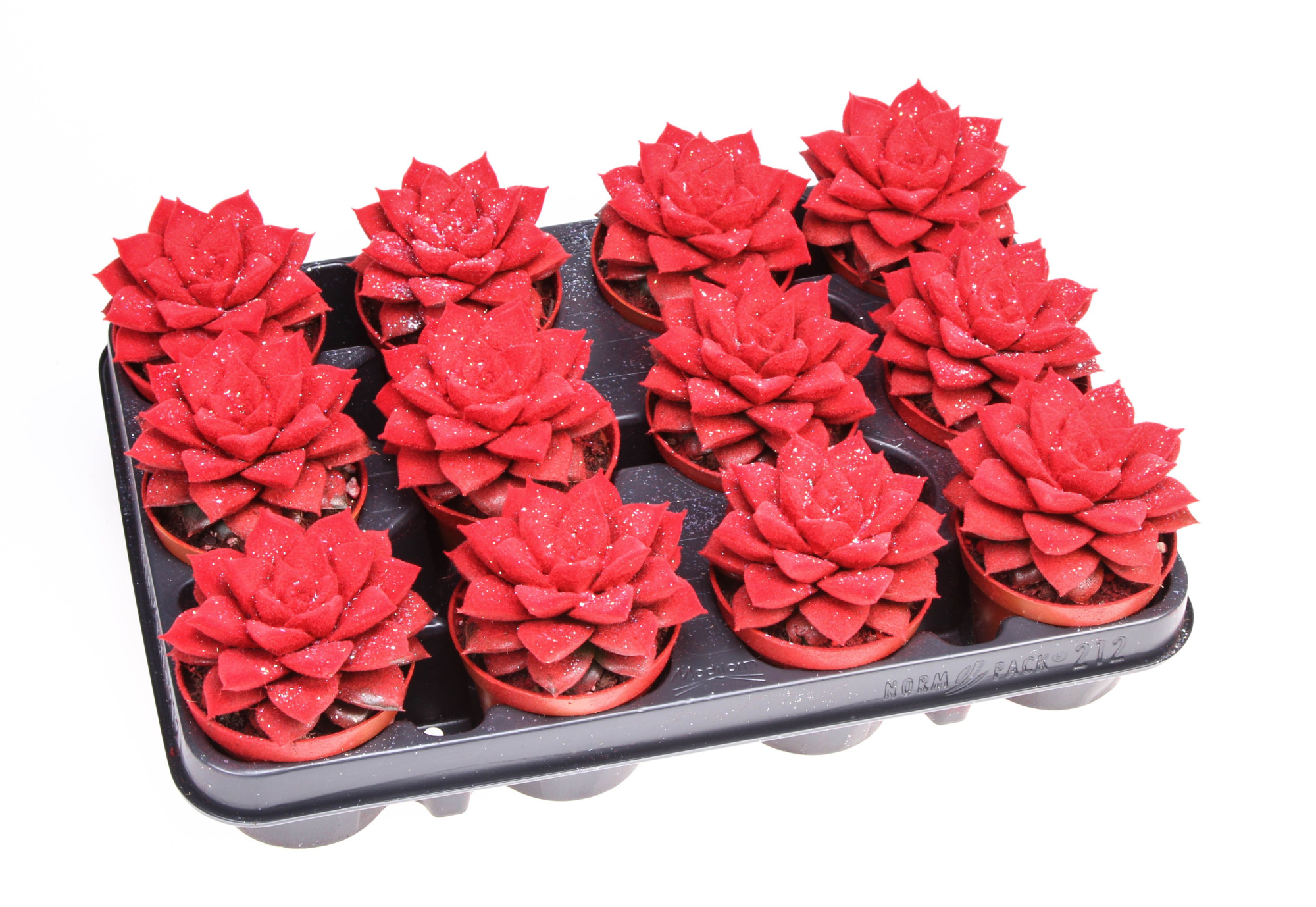 Velvet purper rood + glitter, D 8,5