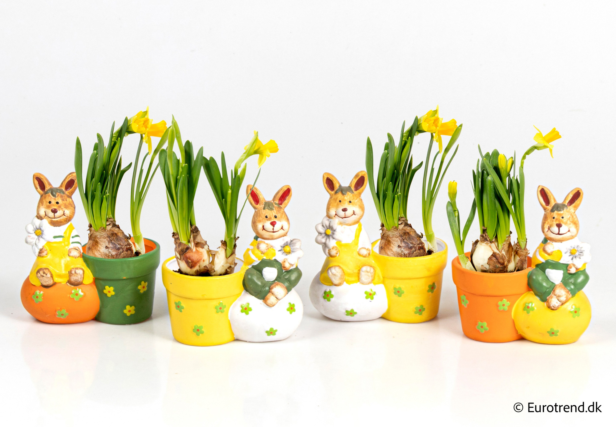 Narcissus in Easter ceramic 2026, D 6