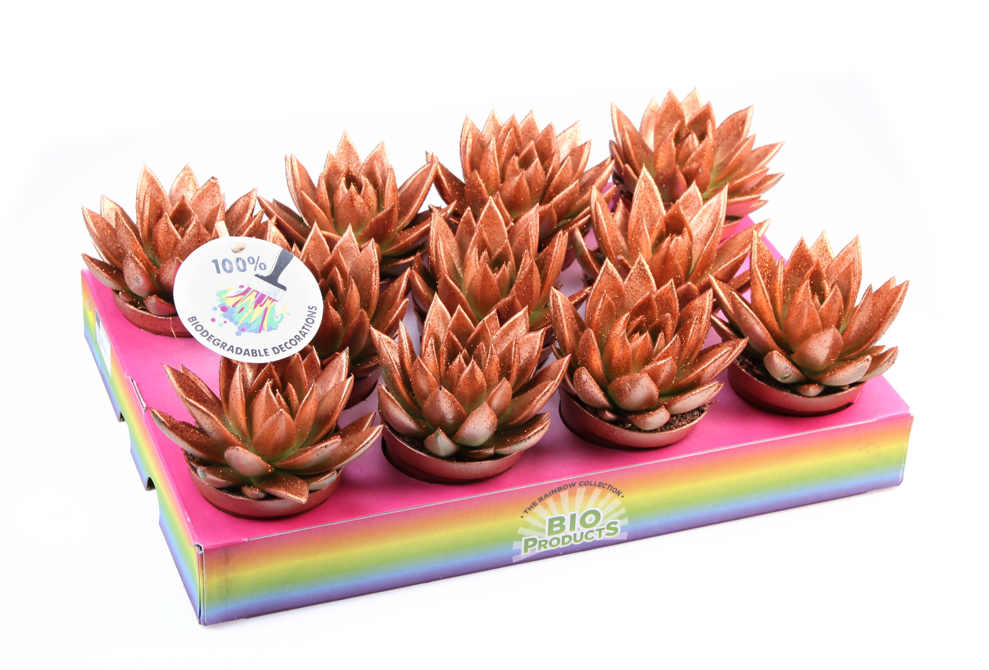 Bio miranda bronze glitter, D 8,5