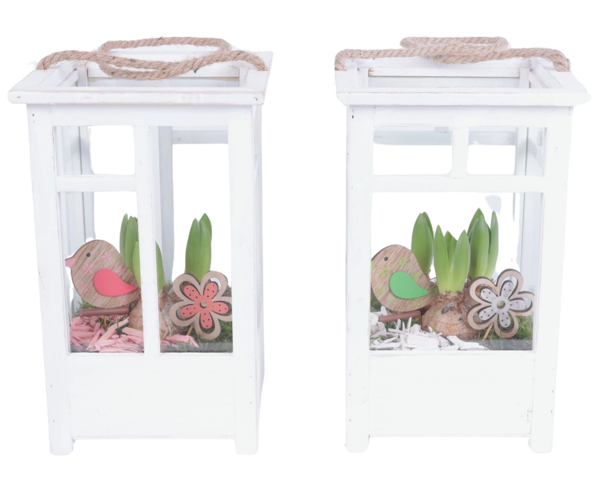 Bulbs Arr. Hyacint Wooden Lantern Pot White Mix/3 Ø19cm 3PP, D 19