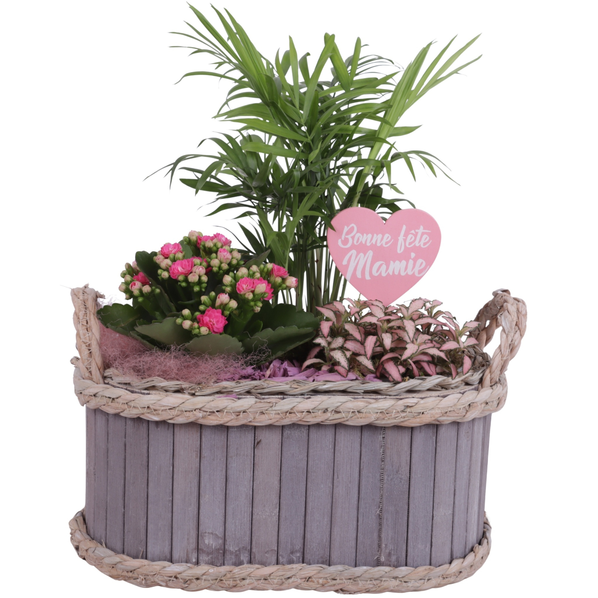 Grandmothers Day Arr. Indoor Wooden Pot Waterhyacinth Rim Ø29cm, D 29