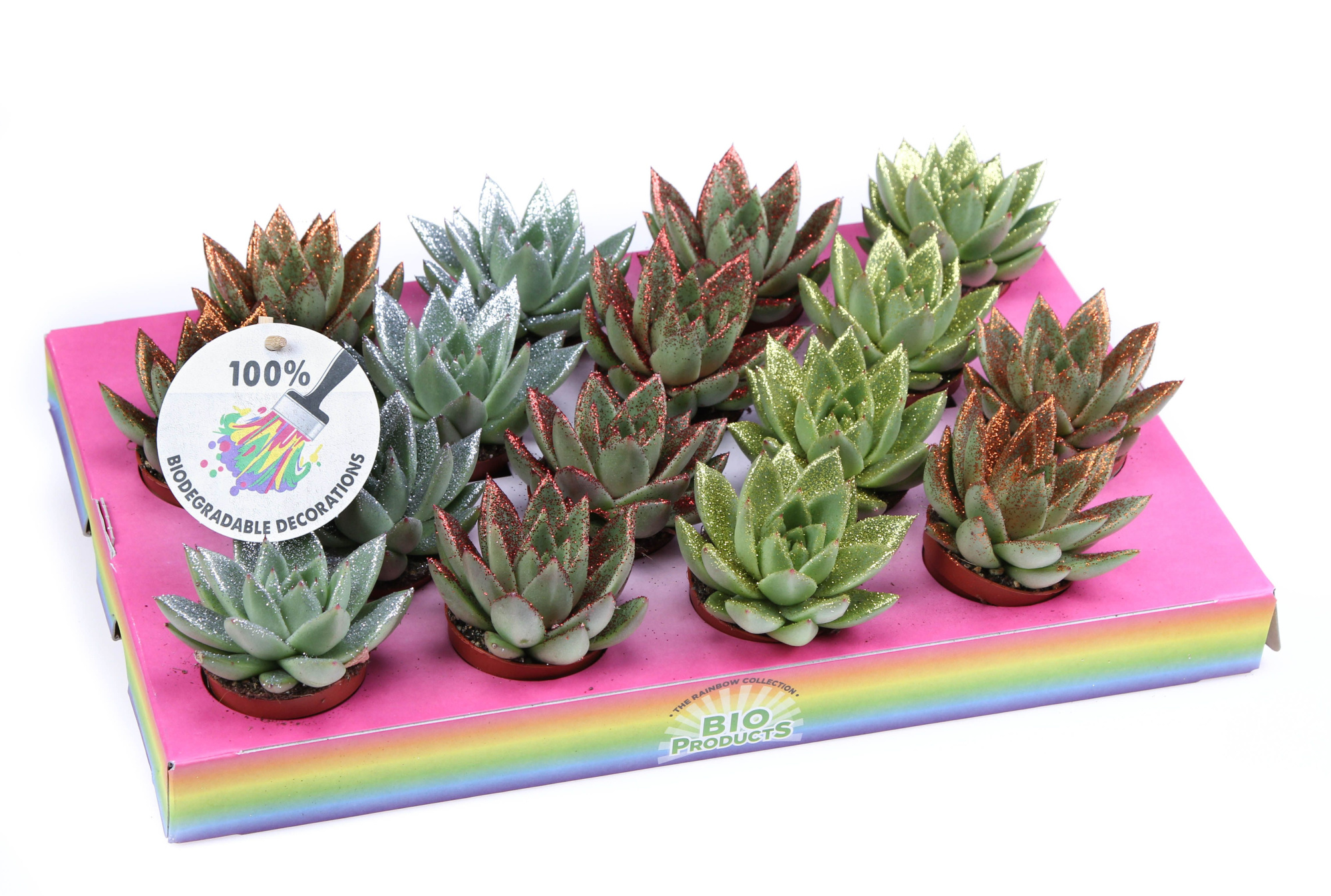 Bio miranda naturel glitter mix, D 6