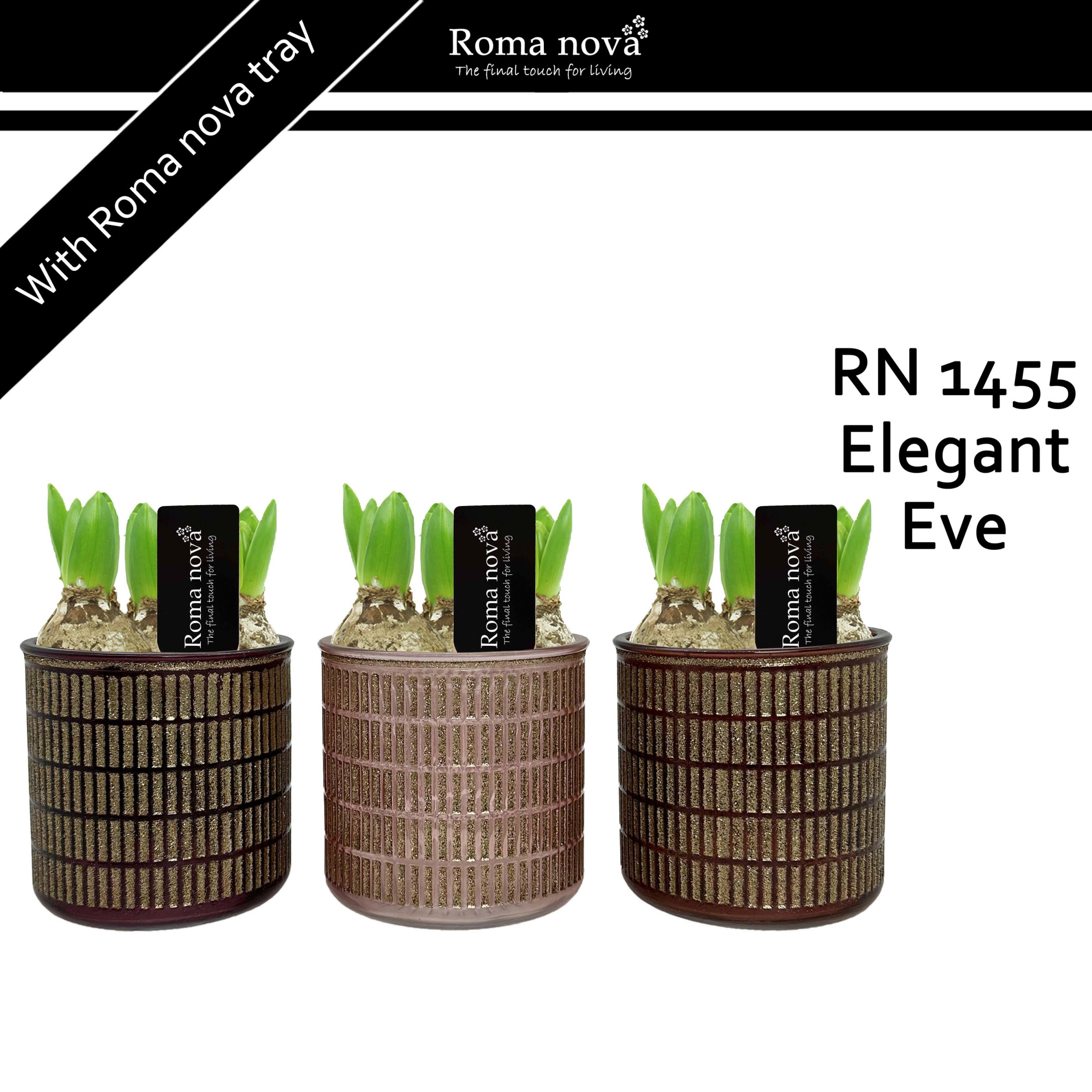 1455 - Elegant Eve ES12 (Hyacint), D 12