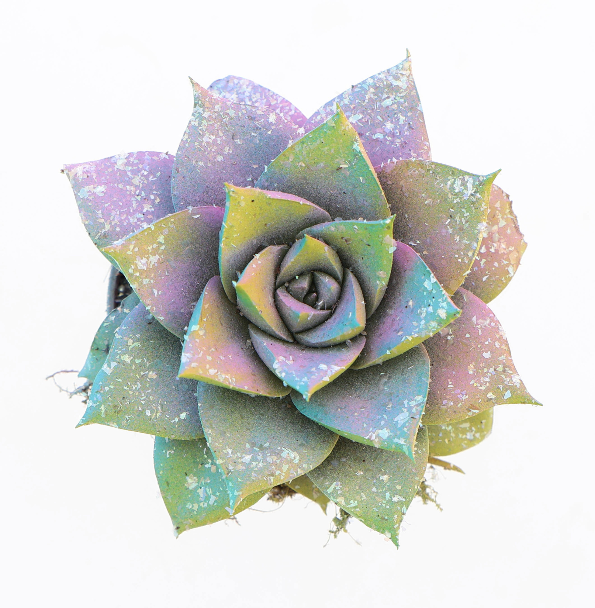 Purper multi glitter mix, D 5,5