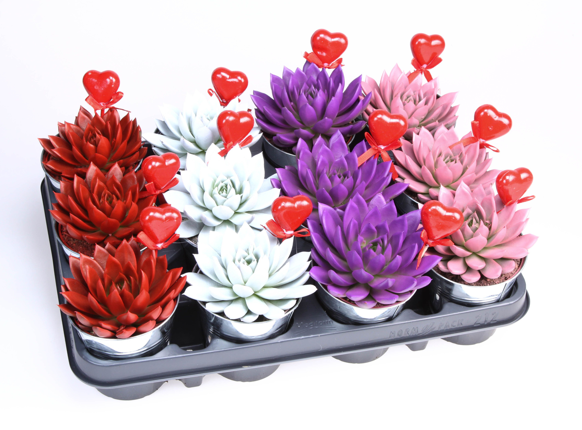 Rainbow zink + hartje, D 8,5