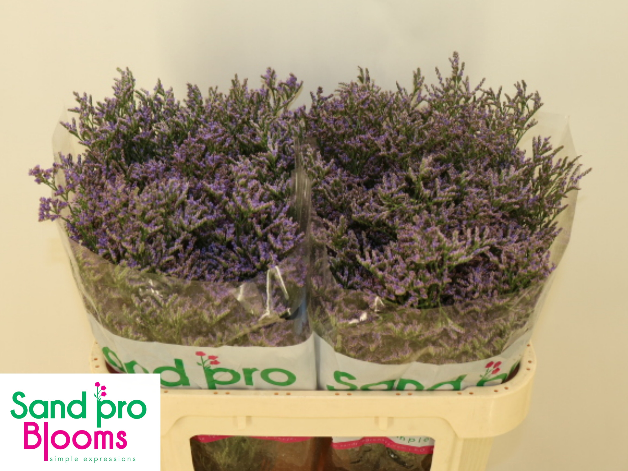 Лимониум Сафора Классик Блю 70, шт.