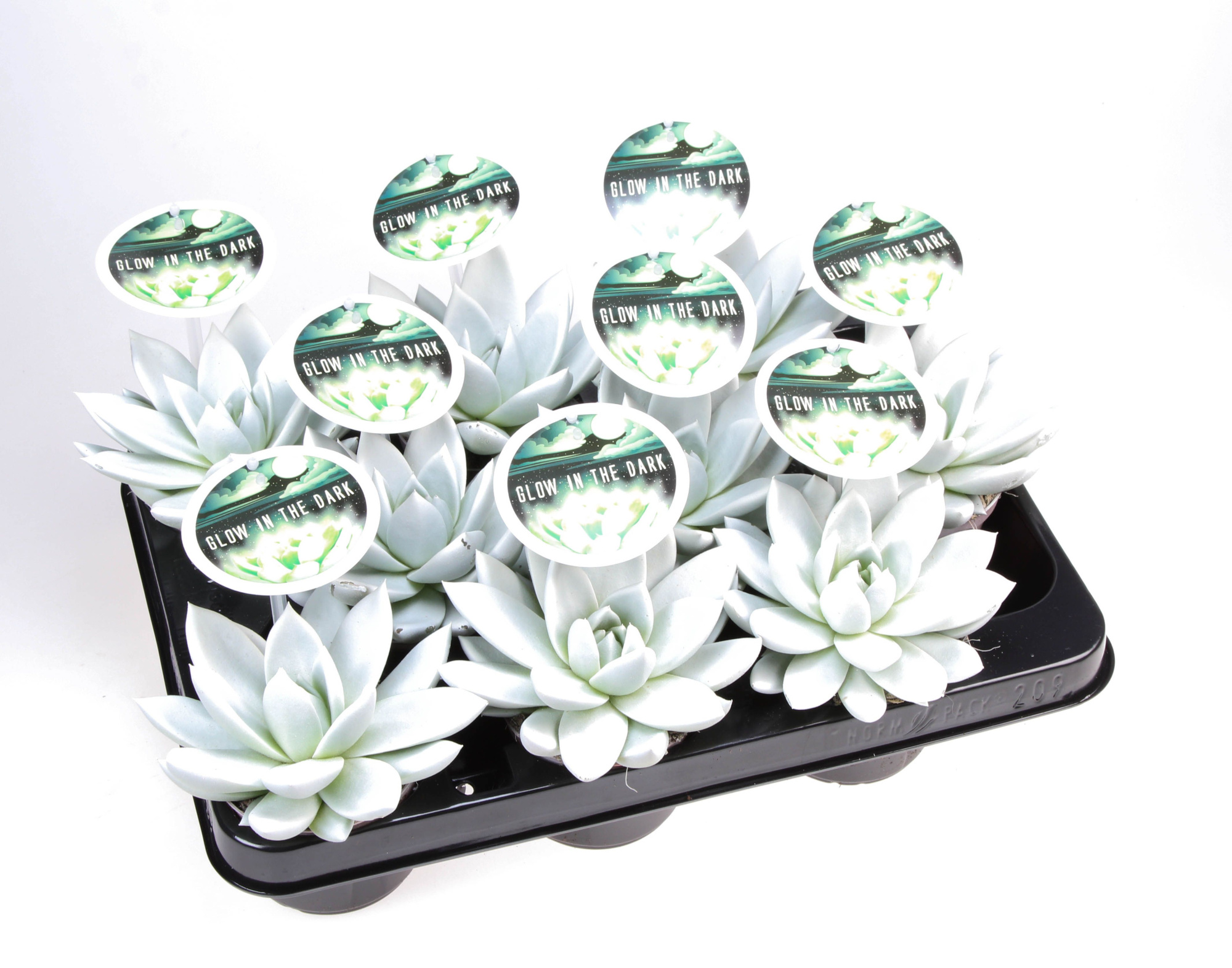 Glow in the dark + etiket, D 8,5