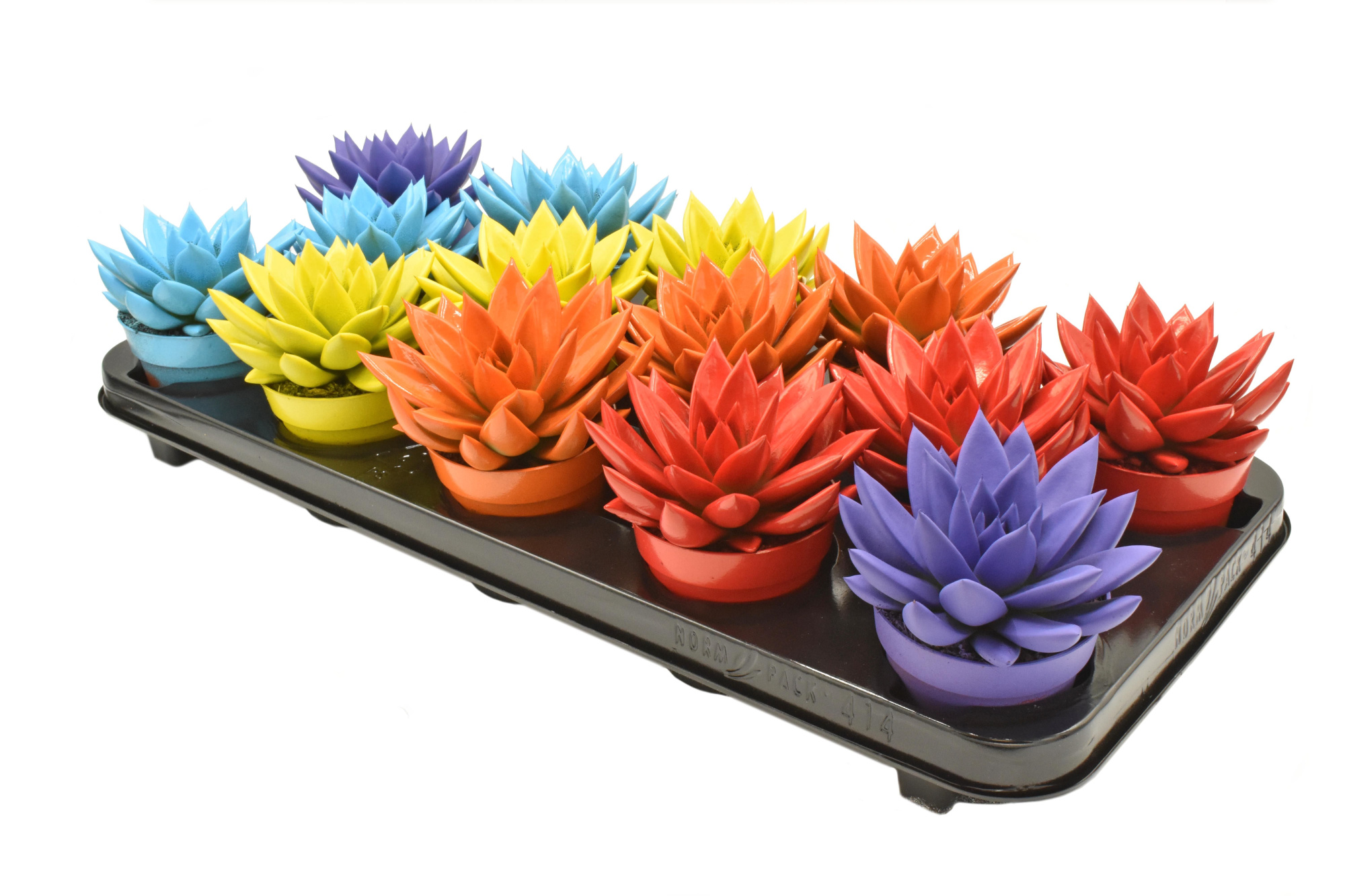 Miranda coloured mix, D 8,5