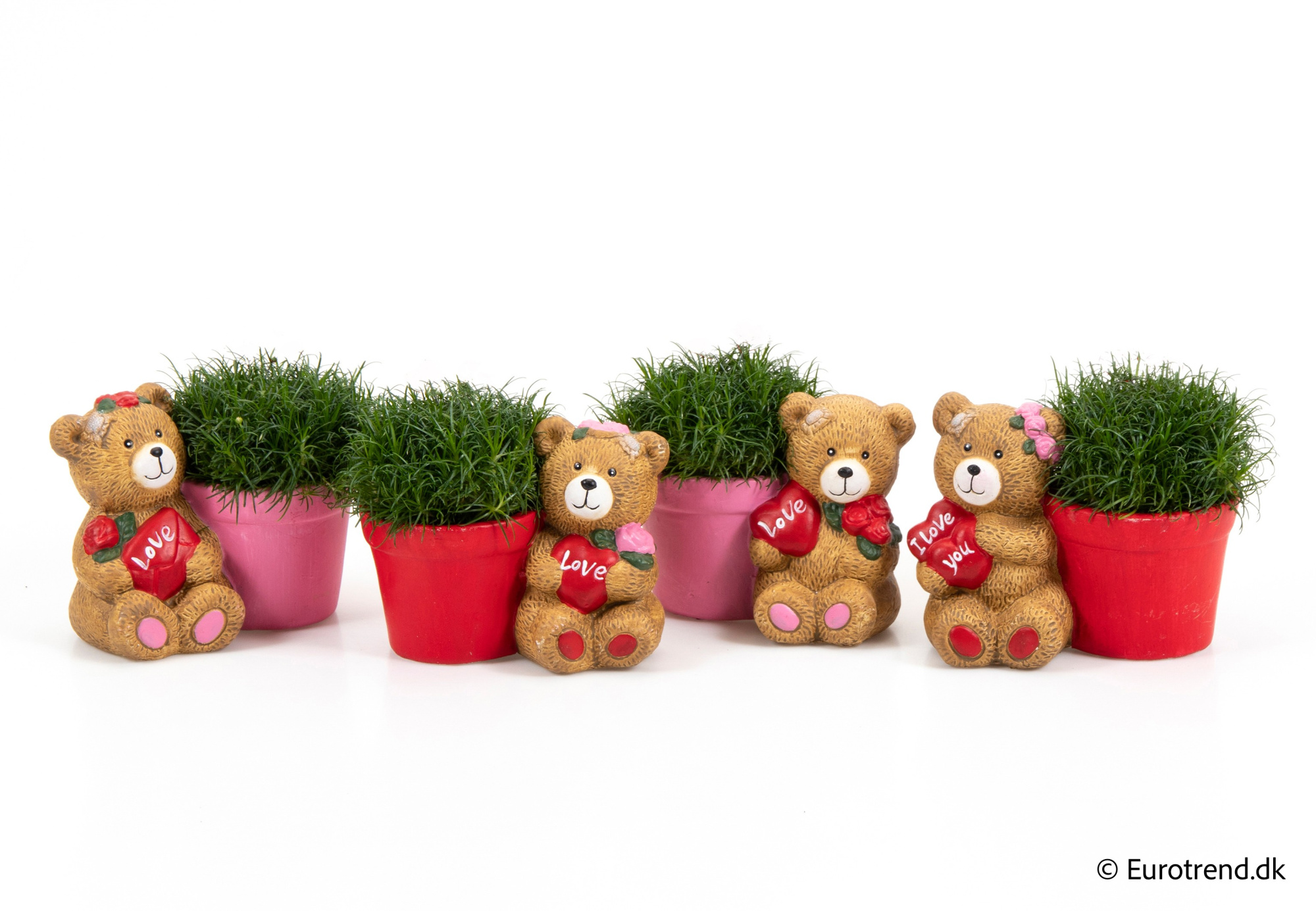 Sagina in Valentine ceramic 2026, D 6