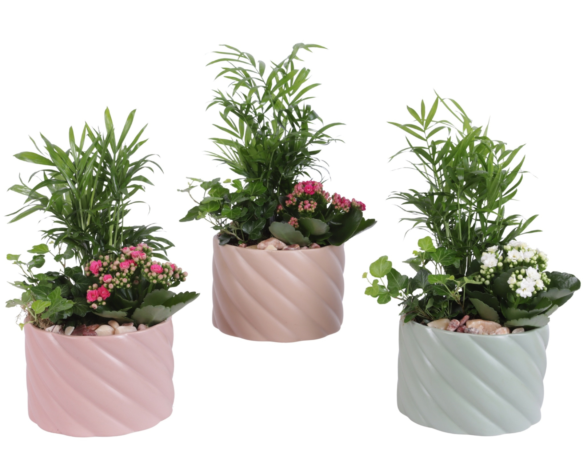 Yearround Arr. Indoor Ceramic Soft Elegance SE661 Ø17cm 3PP, D 17